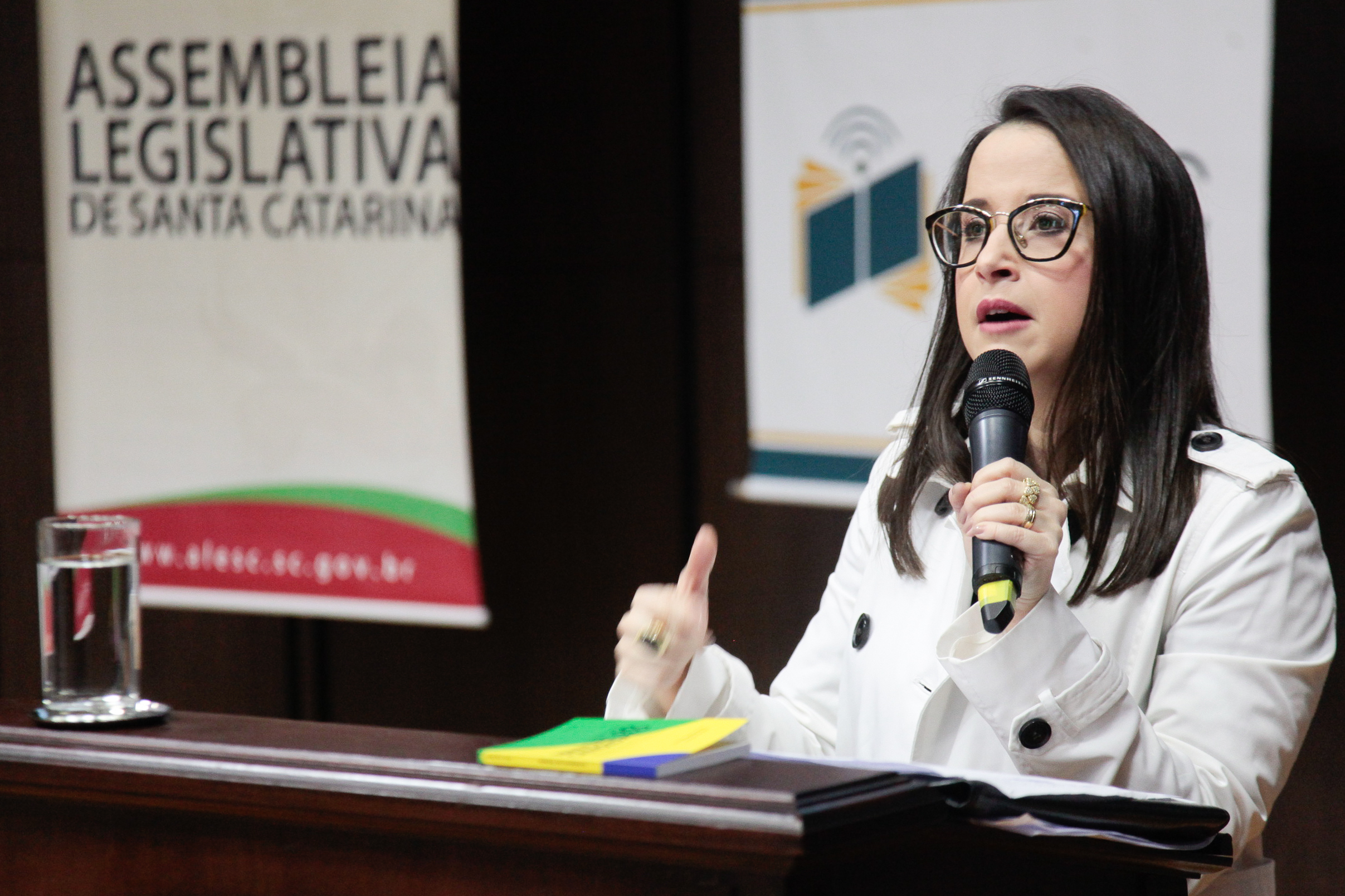 IV Congresso Catarinense de Direito Eleitoral. Gabriela Rollemberg
