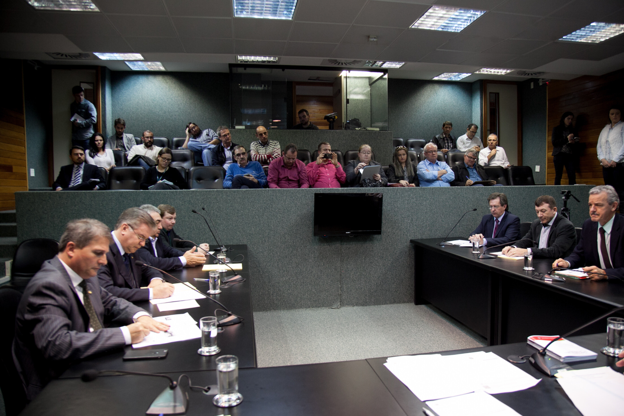 Audiência pública debate crise que atinge setor de suinocultura catarinense
