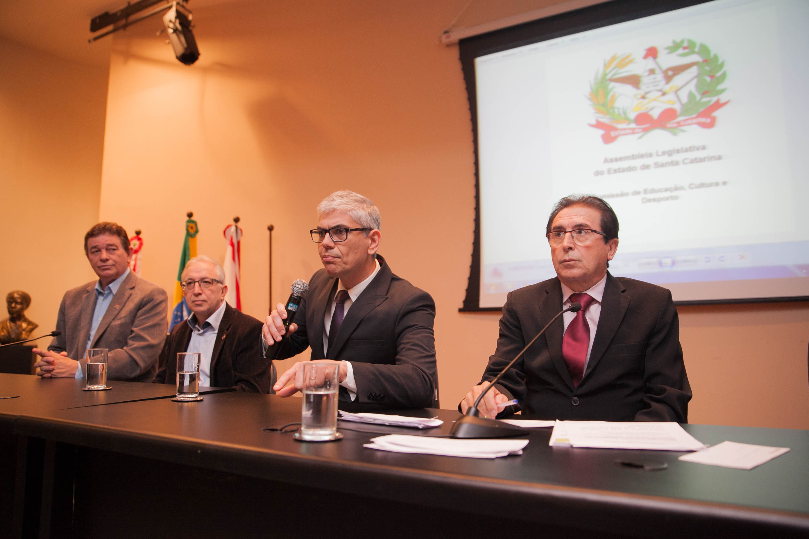 Audiência Pública: Situação estrutural das escolas estaduais