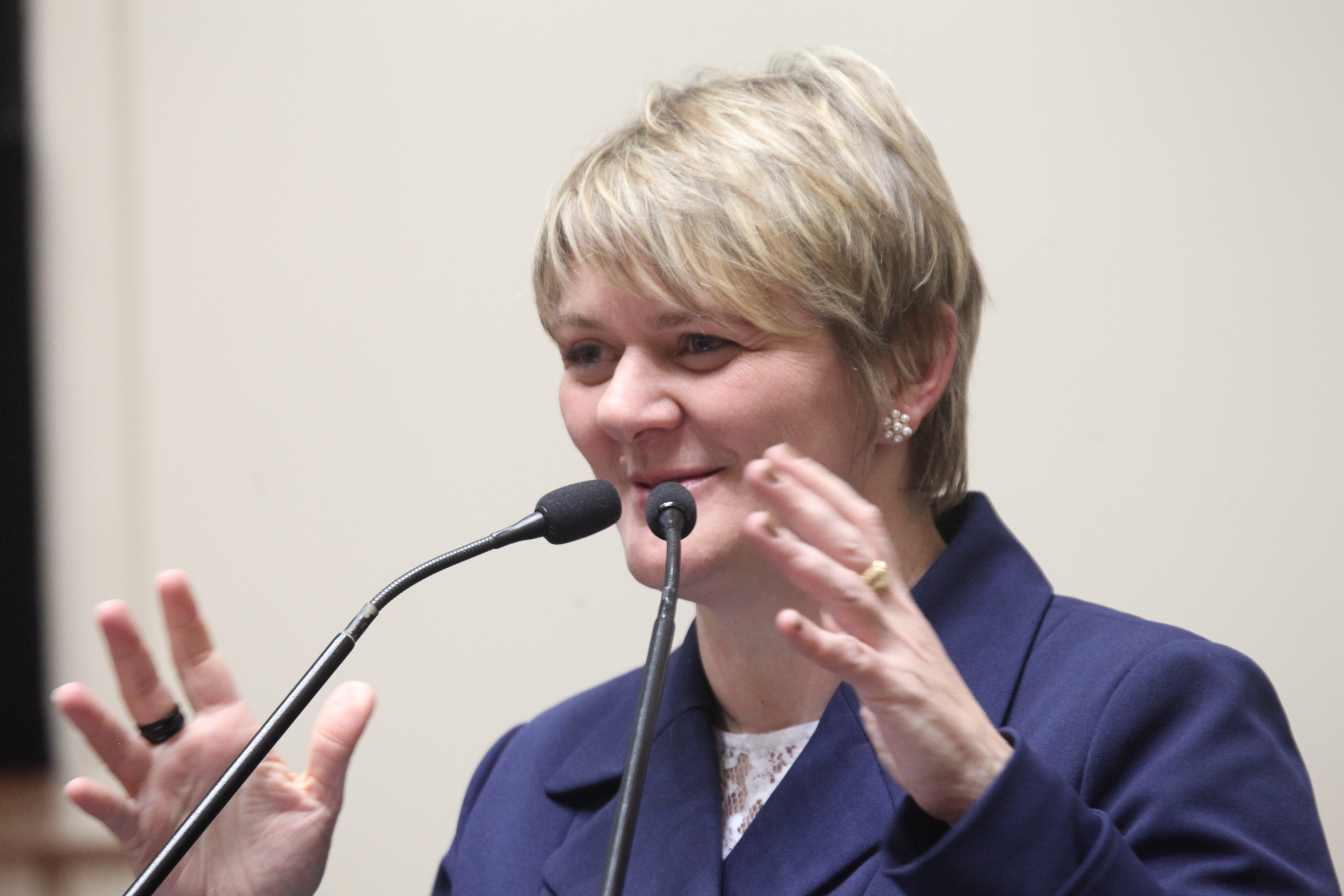 Sessão Ordinária. Deputada Luciane Carminatti (PT).