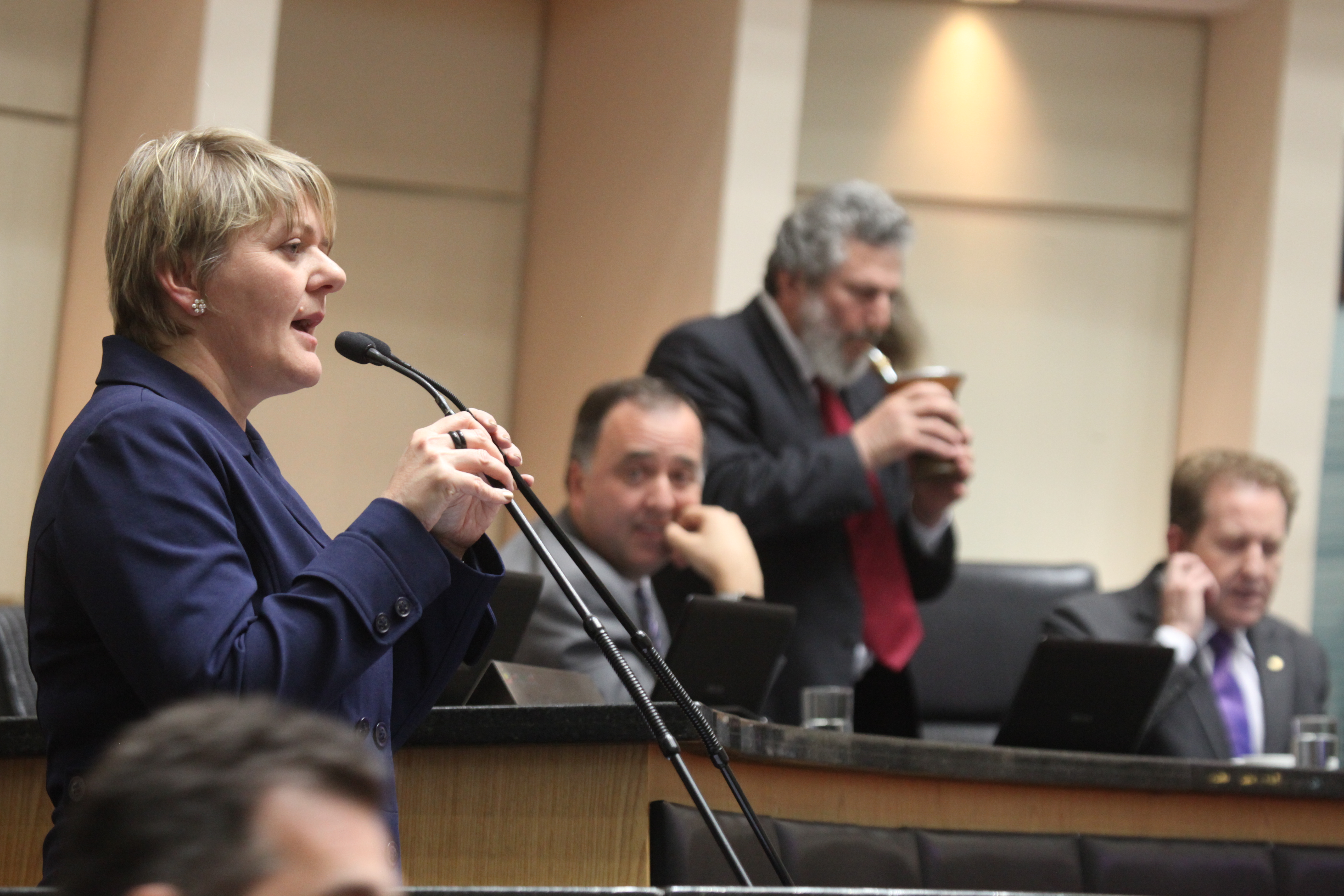 Sessão Ordinária. Deputada Luciane Carminatti (PT).