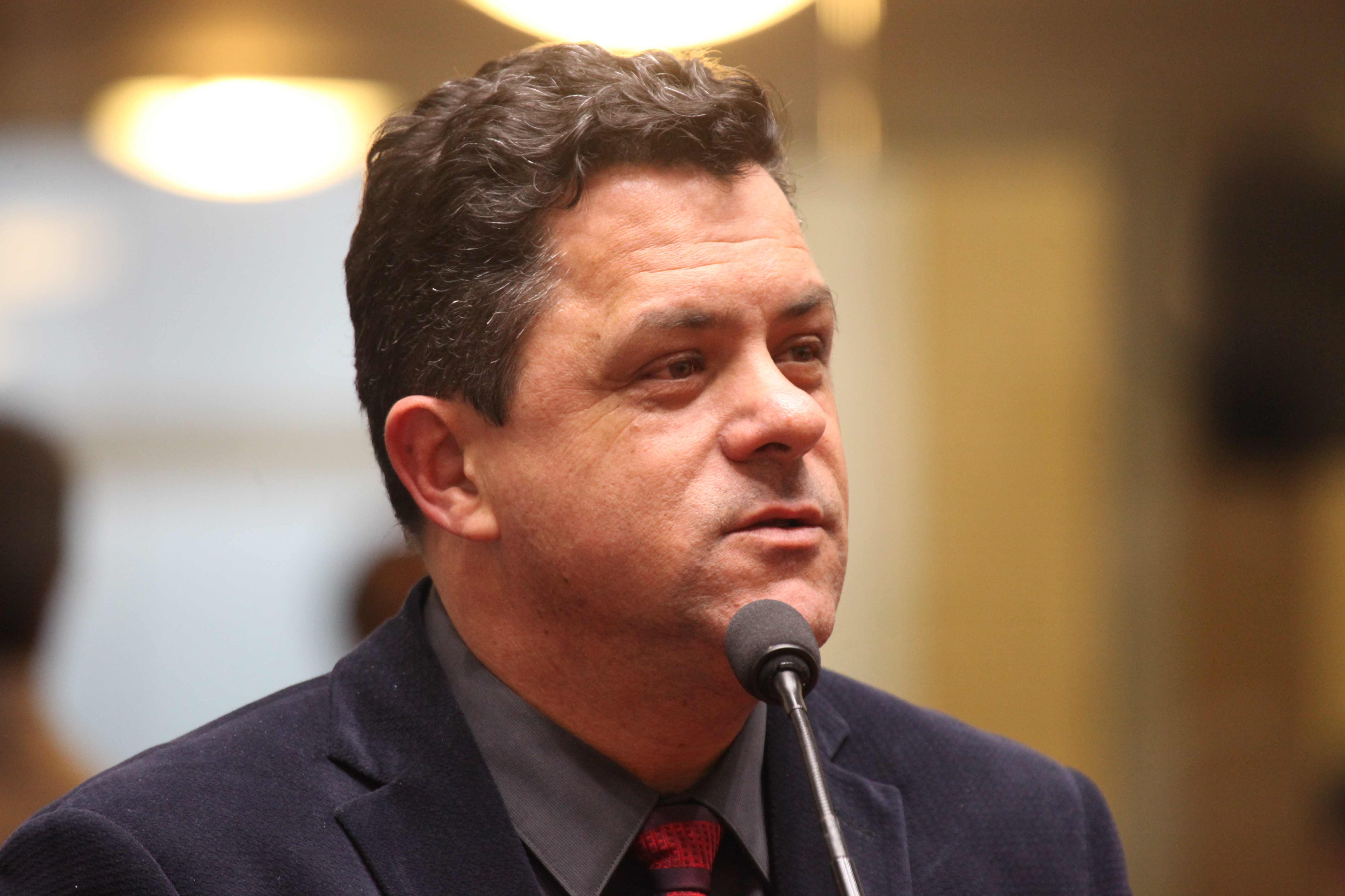 Sessão Ordinária. Deputado Ivan Naatz (PDT).
