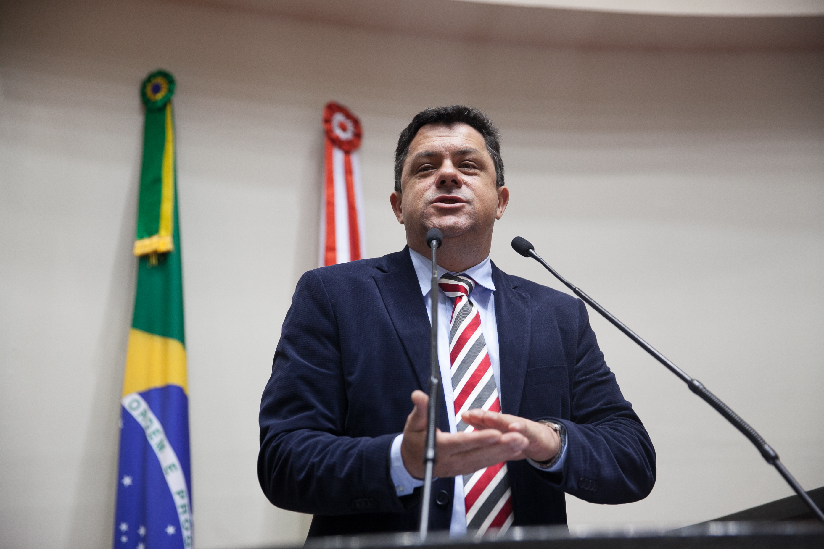 Deputado Ivan Naatz (PDT) em Sessão Ordinária