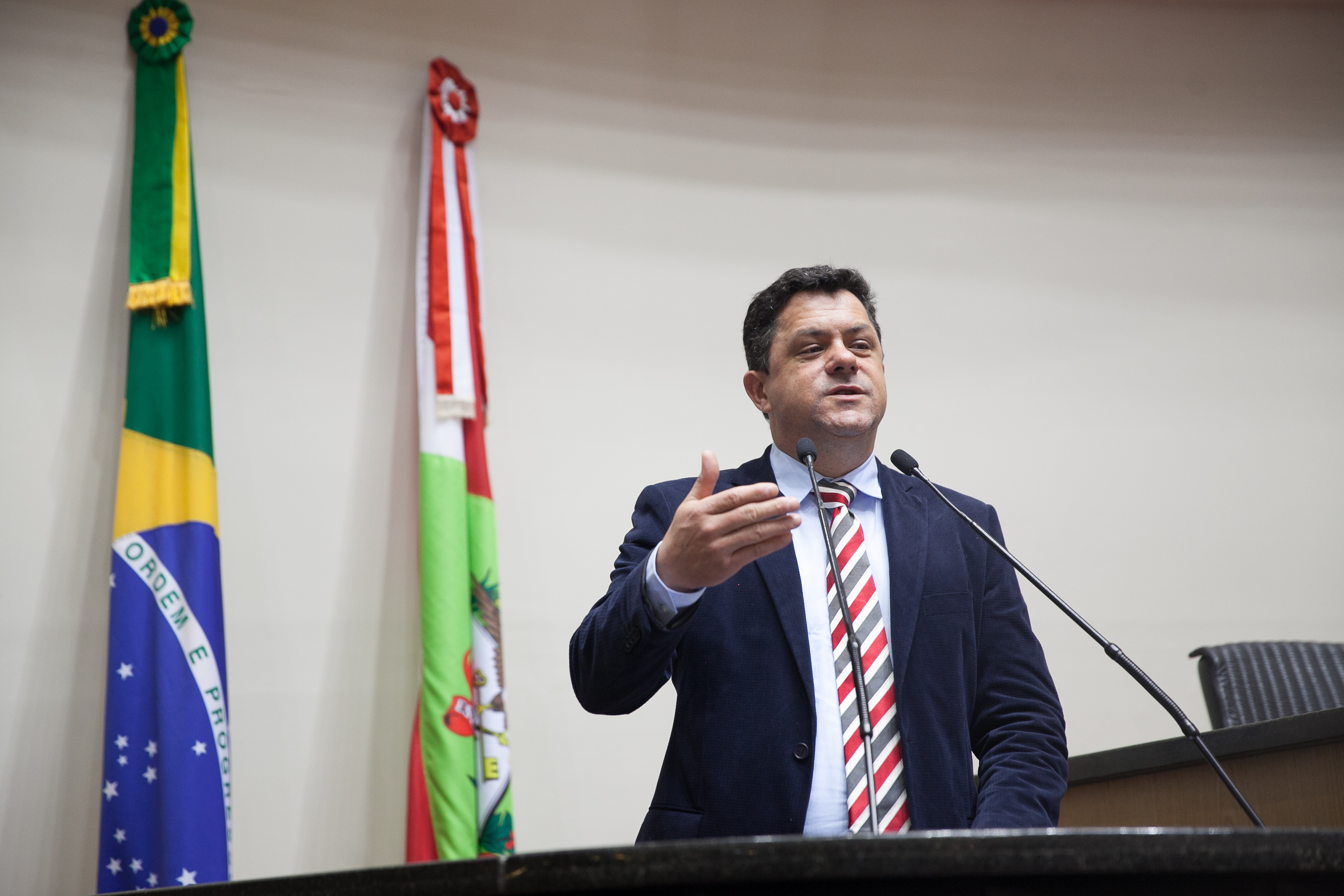 Deputado Ivan Naatz (PDT) em Sessão Ordinária