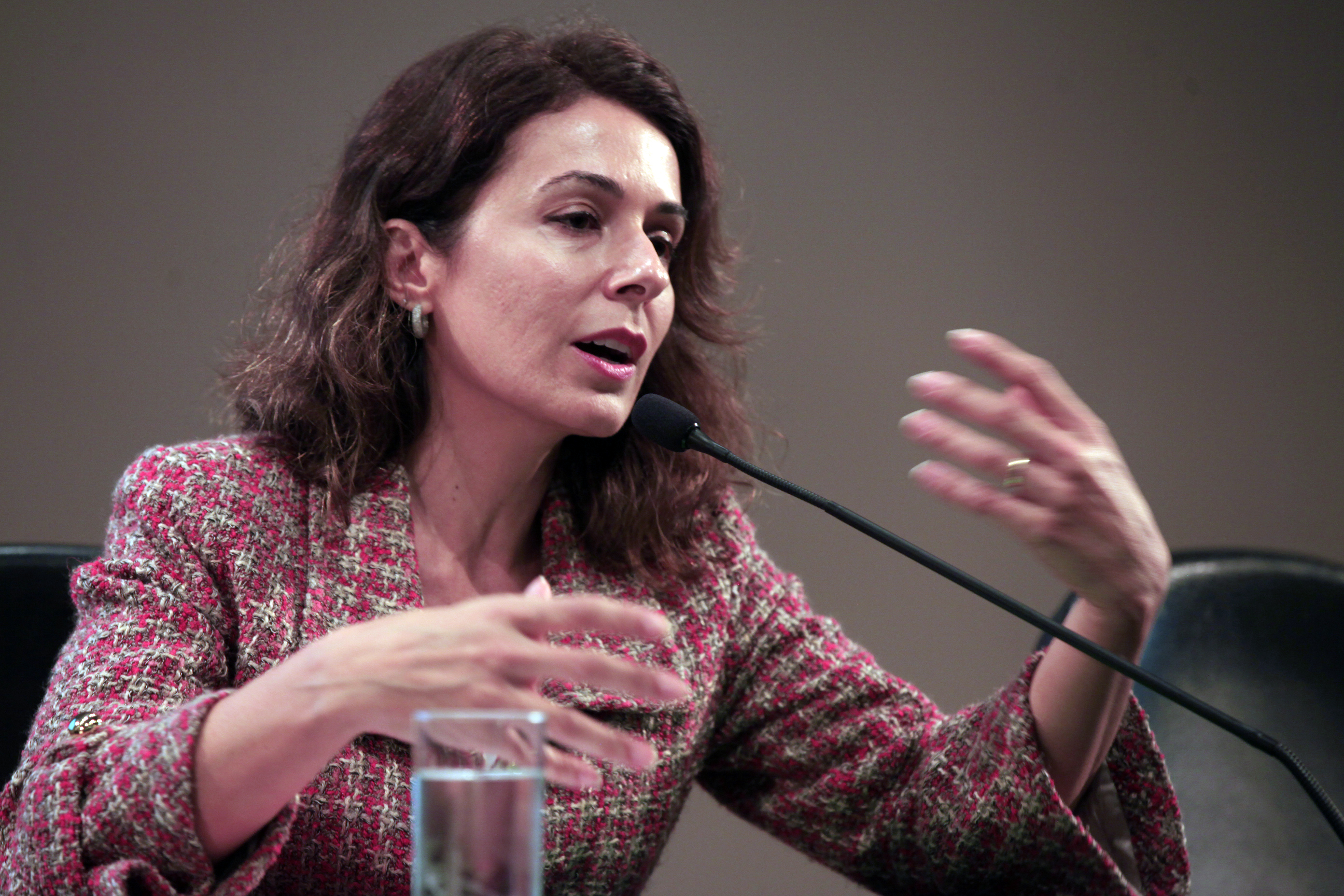 Promotora Priscila Albino. Seminário 