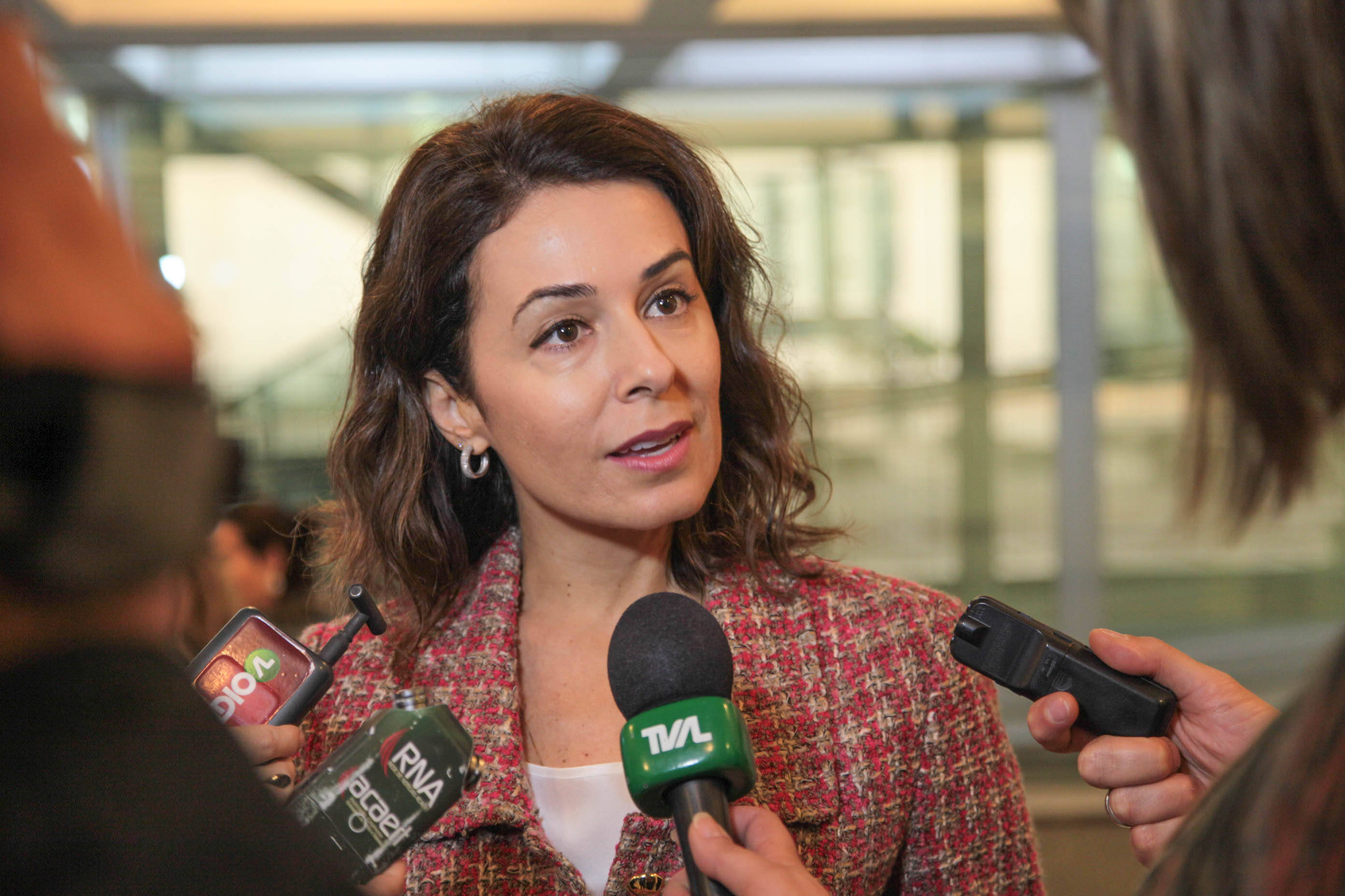 Lançamento do Seminário 