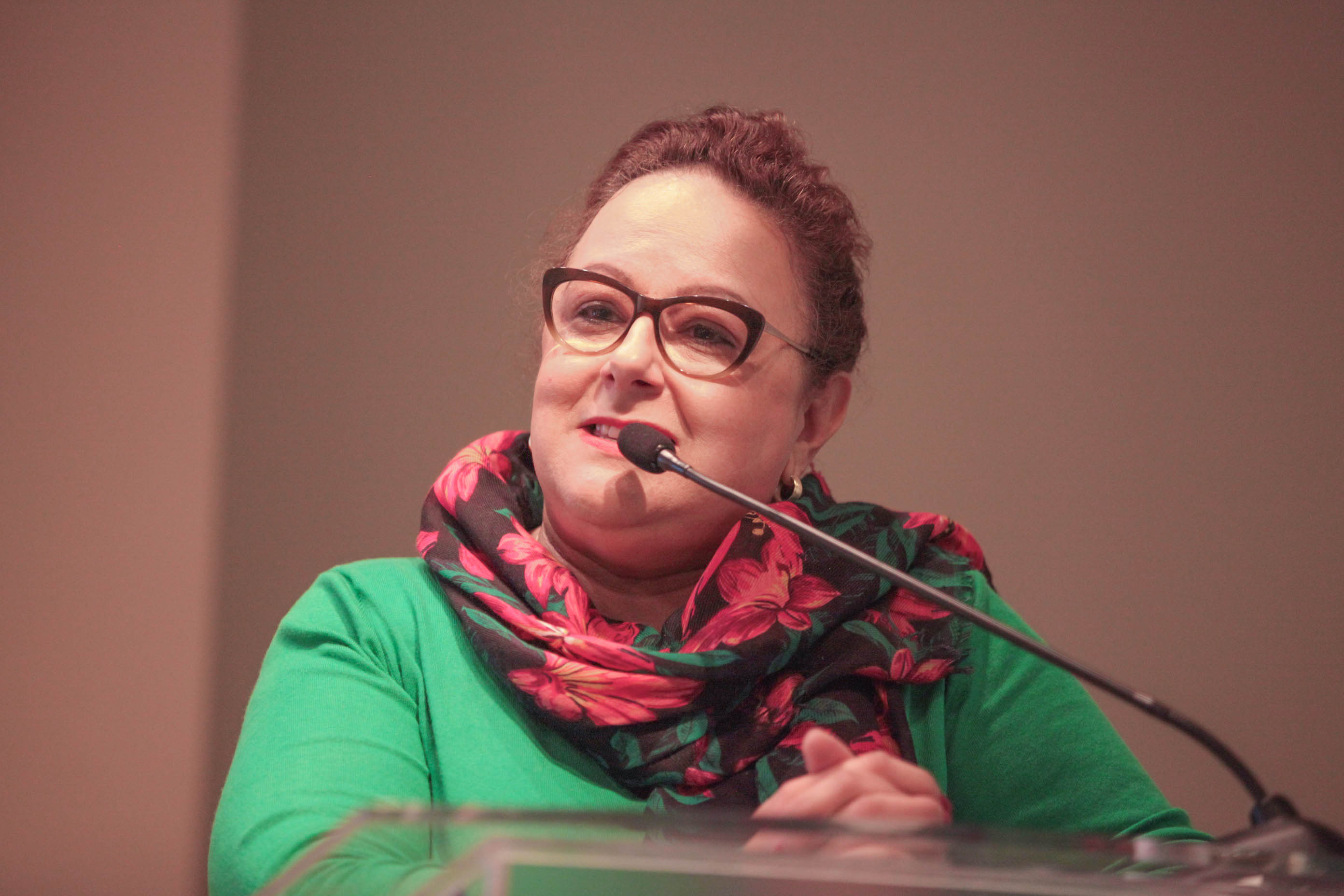Deputada Dirce Heiderscheidt (PMDB) em Lançamento do Seminário 