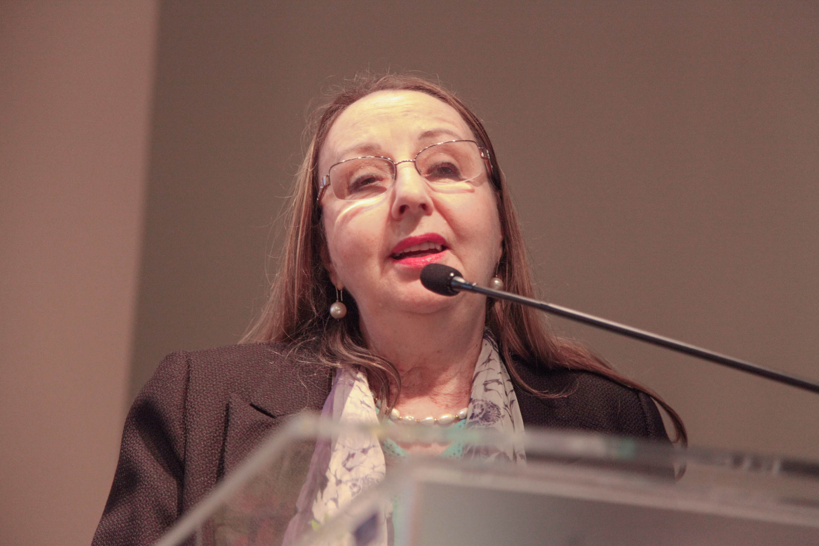 Denise Maria Espíndola em Lançamento do Seminário 