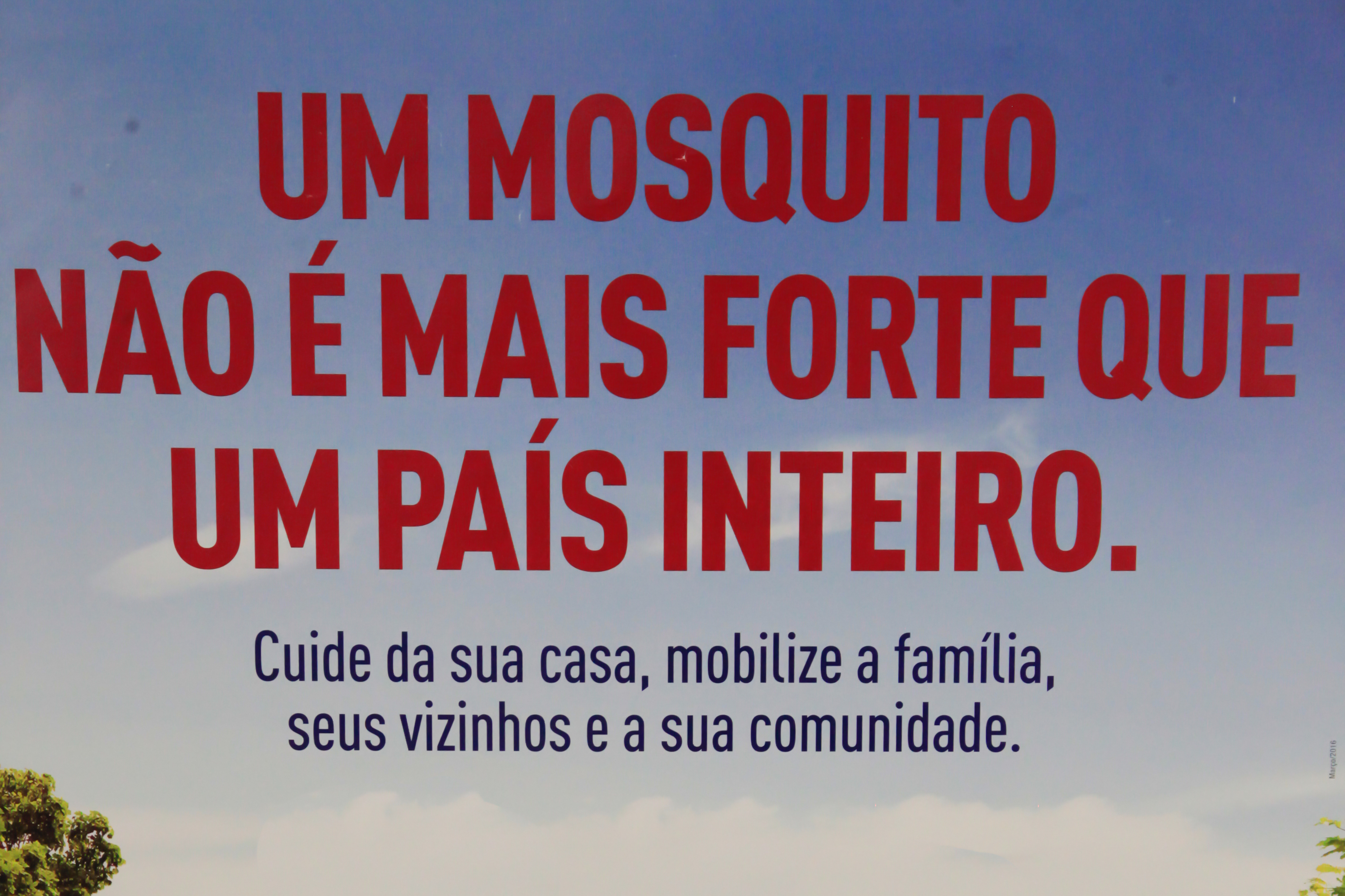 Casos de dengue diminuem em Santa Catarina