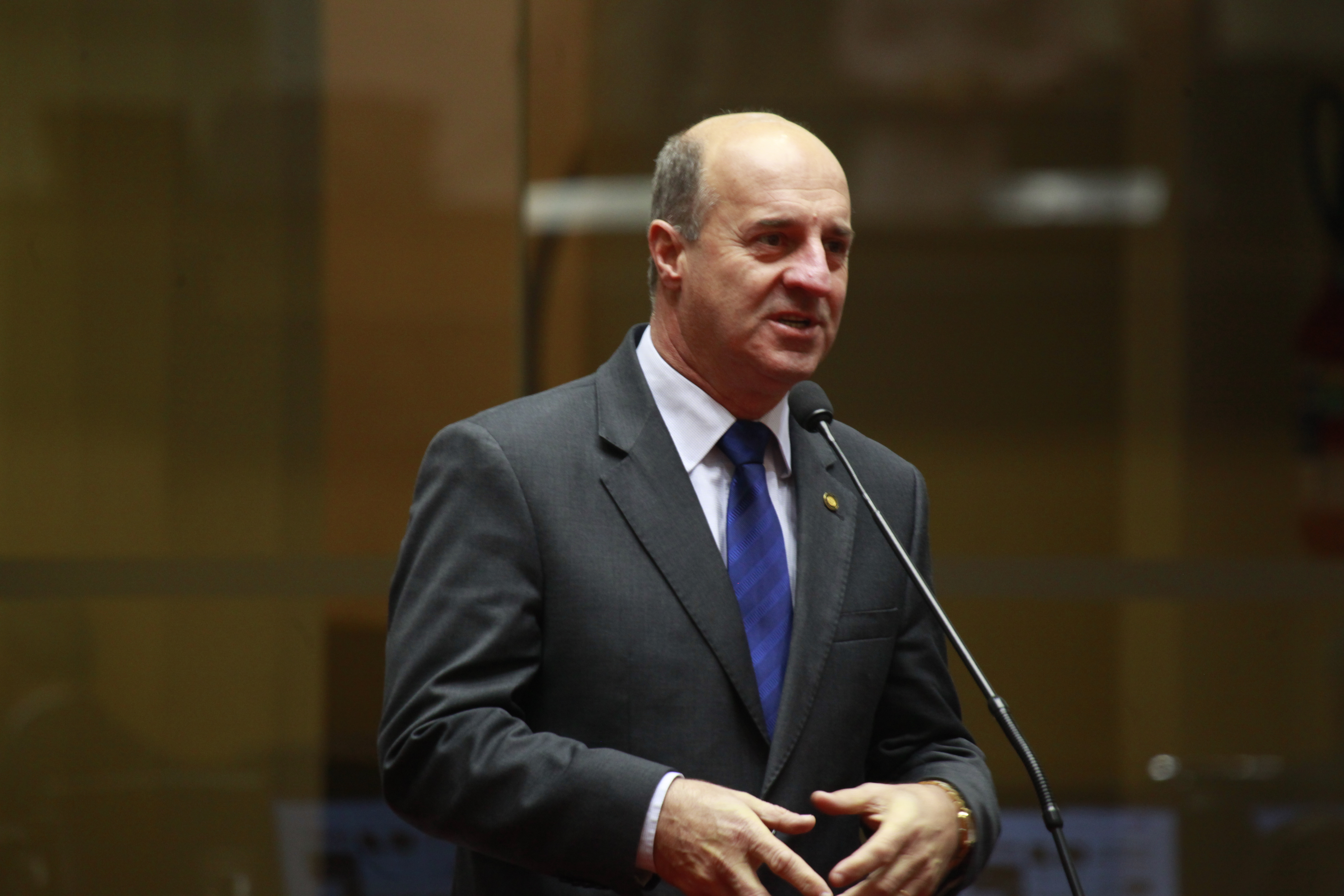 Sessão Ordinária. Deputado Milton Scheffer (PP).