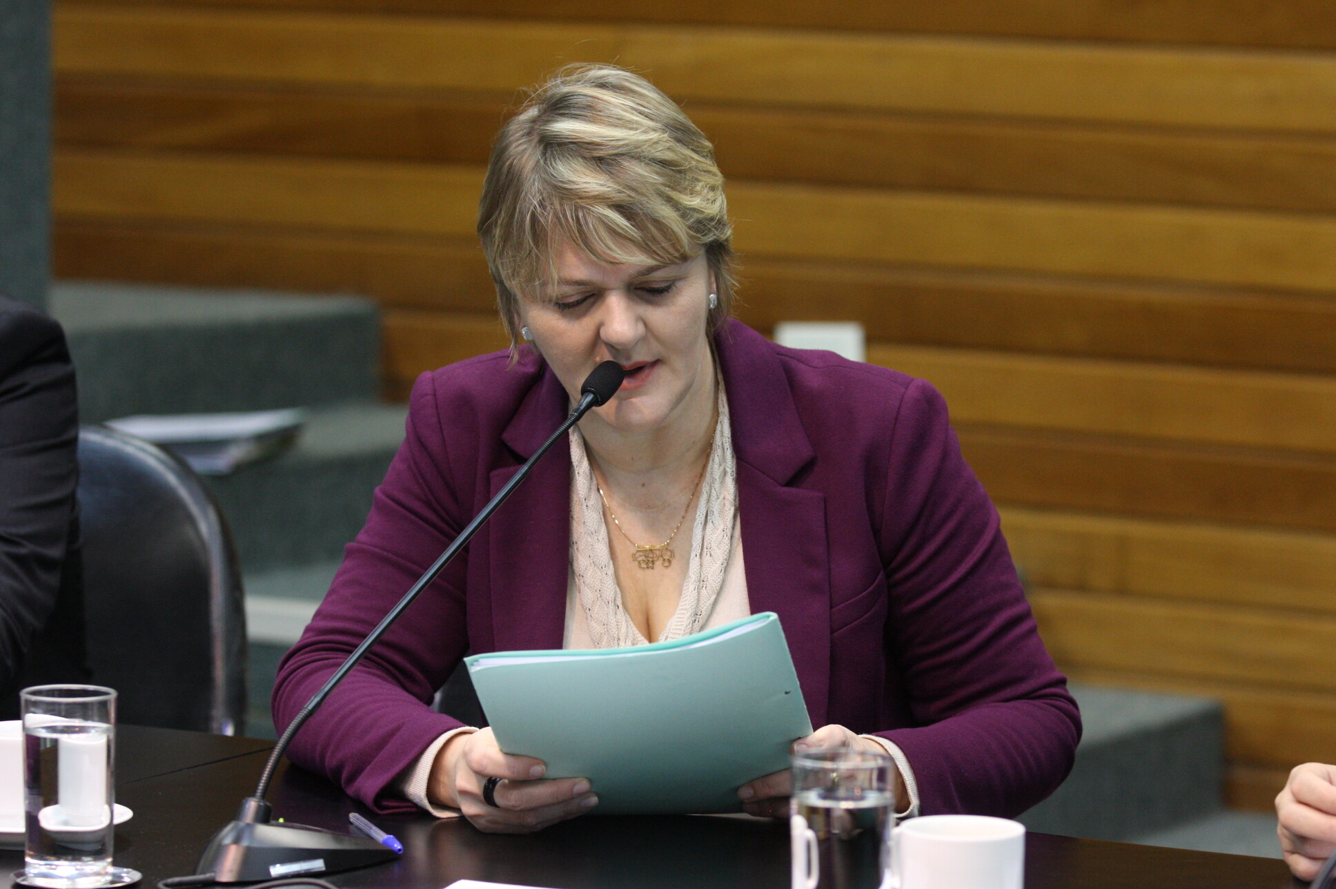 Deputada Luciane Carminatti