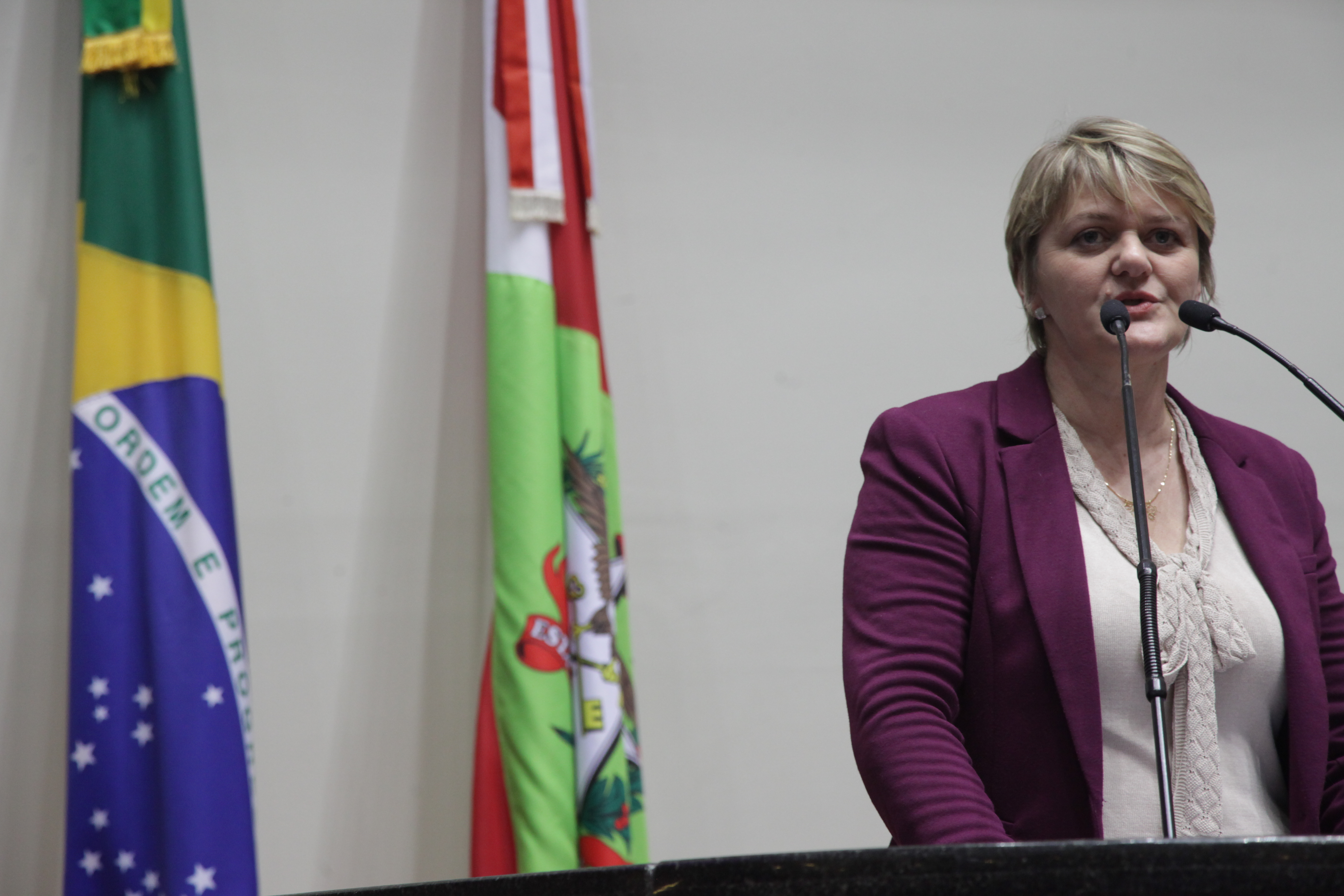 Sessão Ordinária. Deputada Luciane Carminatti (PT)