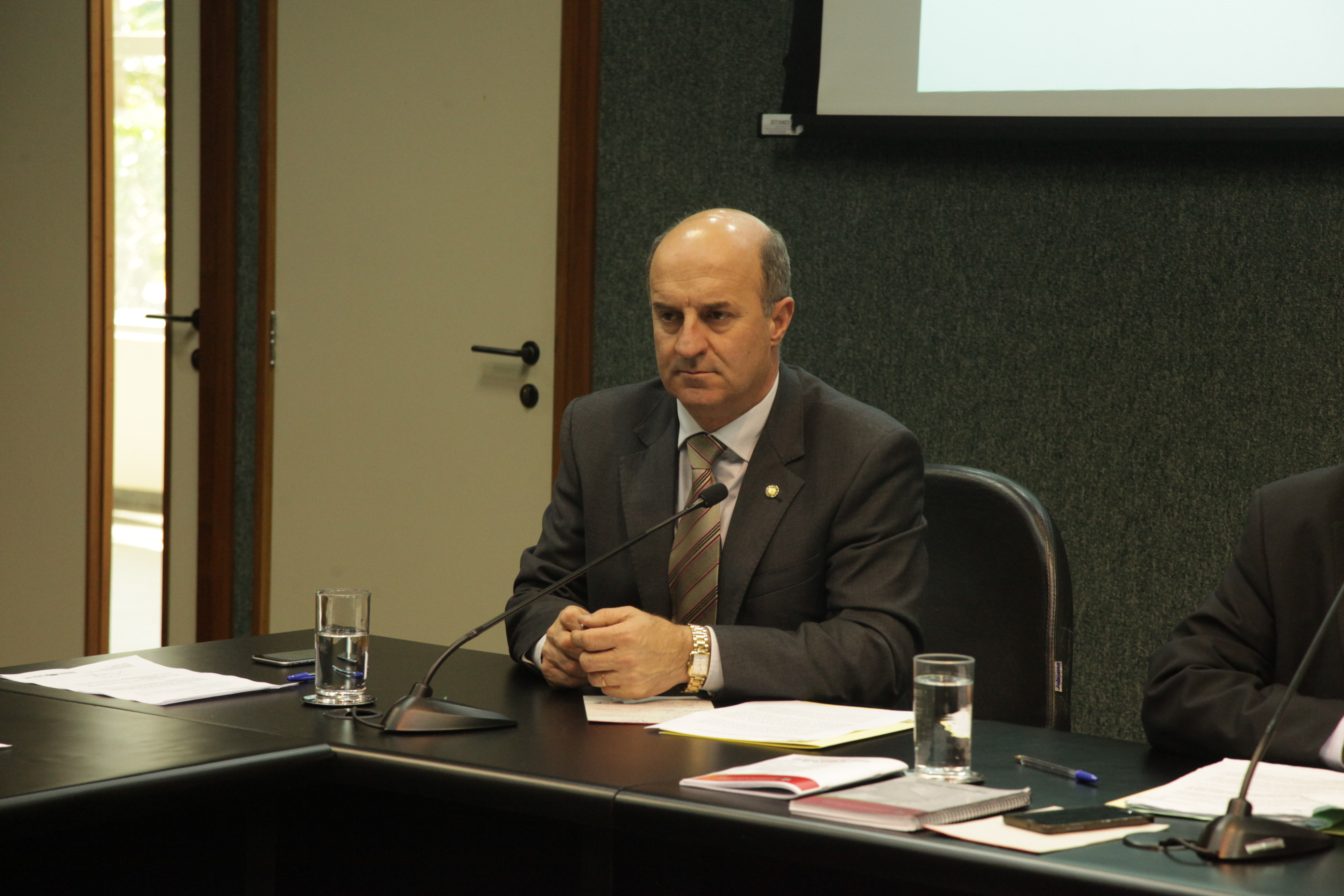 Comissão de Agricultura e Política Rural. Deputado José Milton Scheffer (PP).