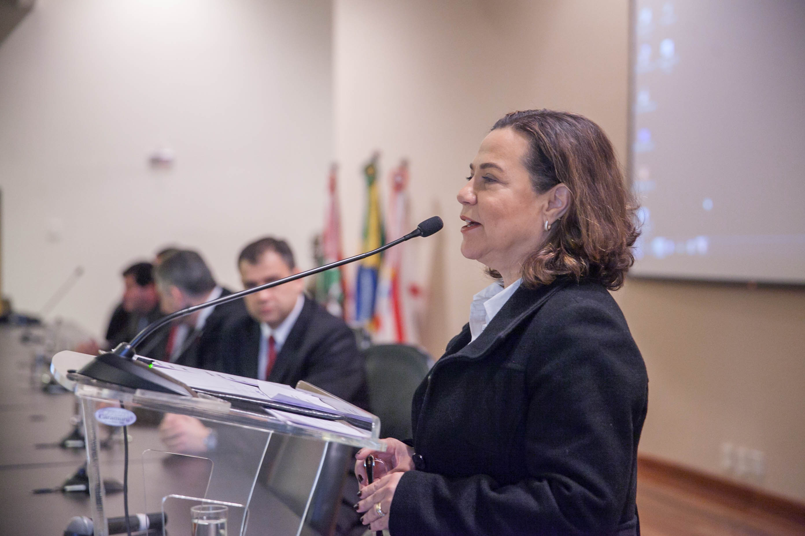 Seminário de Diretrizes de Oxigenoterapia e Ventilação.