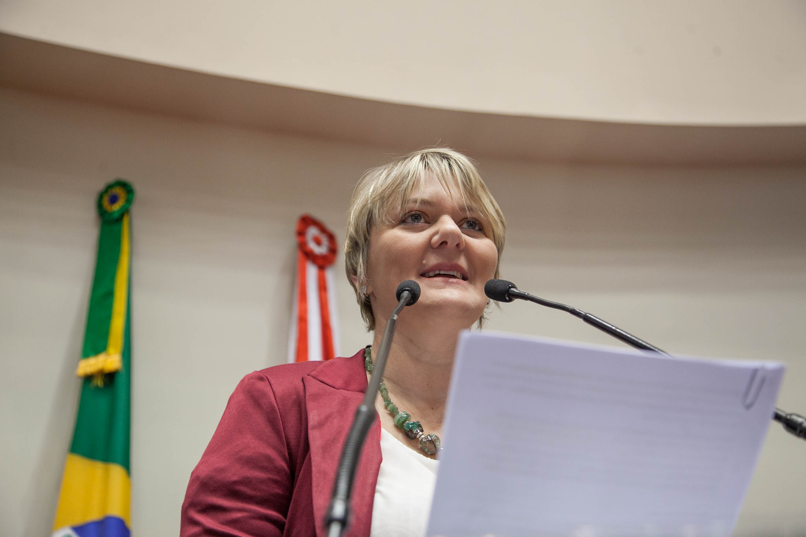 Deputada Luciane Carminatti (PT) em Sessão Ordinária