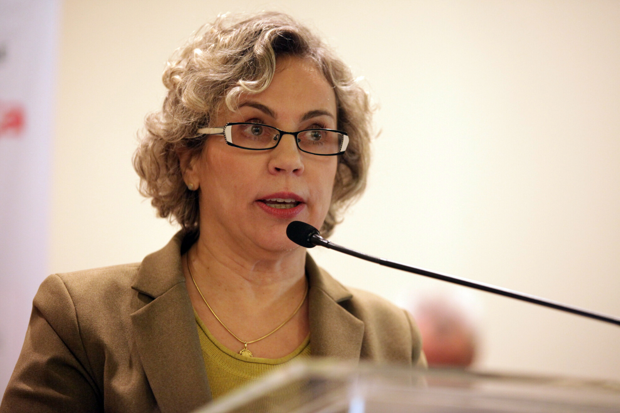 Deputada Ana Paula Lima