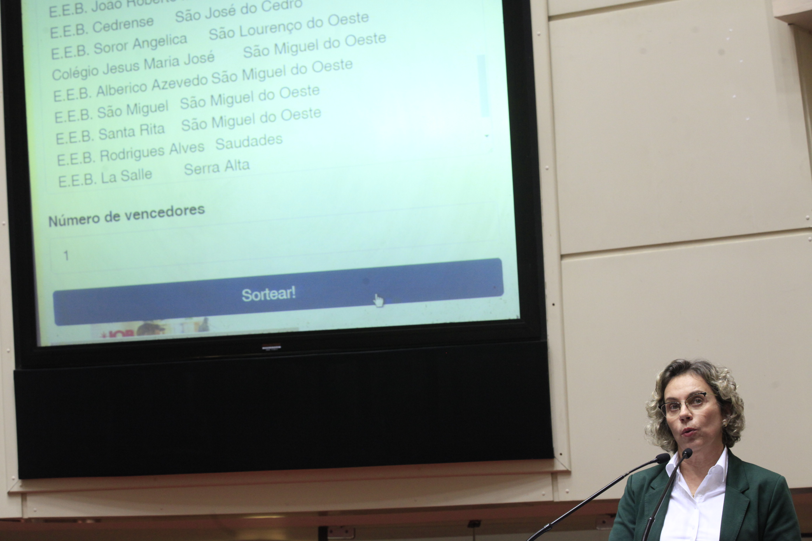 Sessão Ordinária. Deputada Ana Paula Lima (PT)