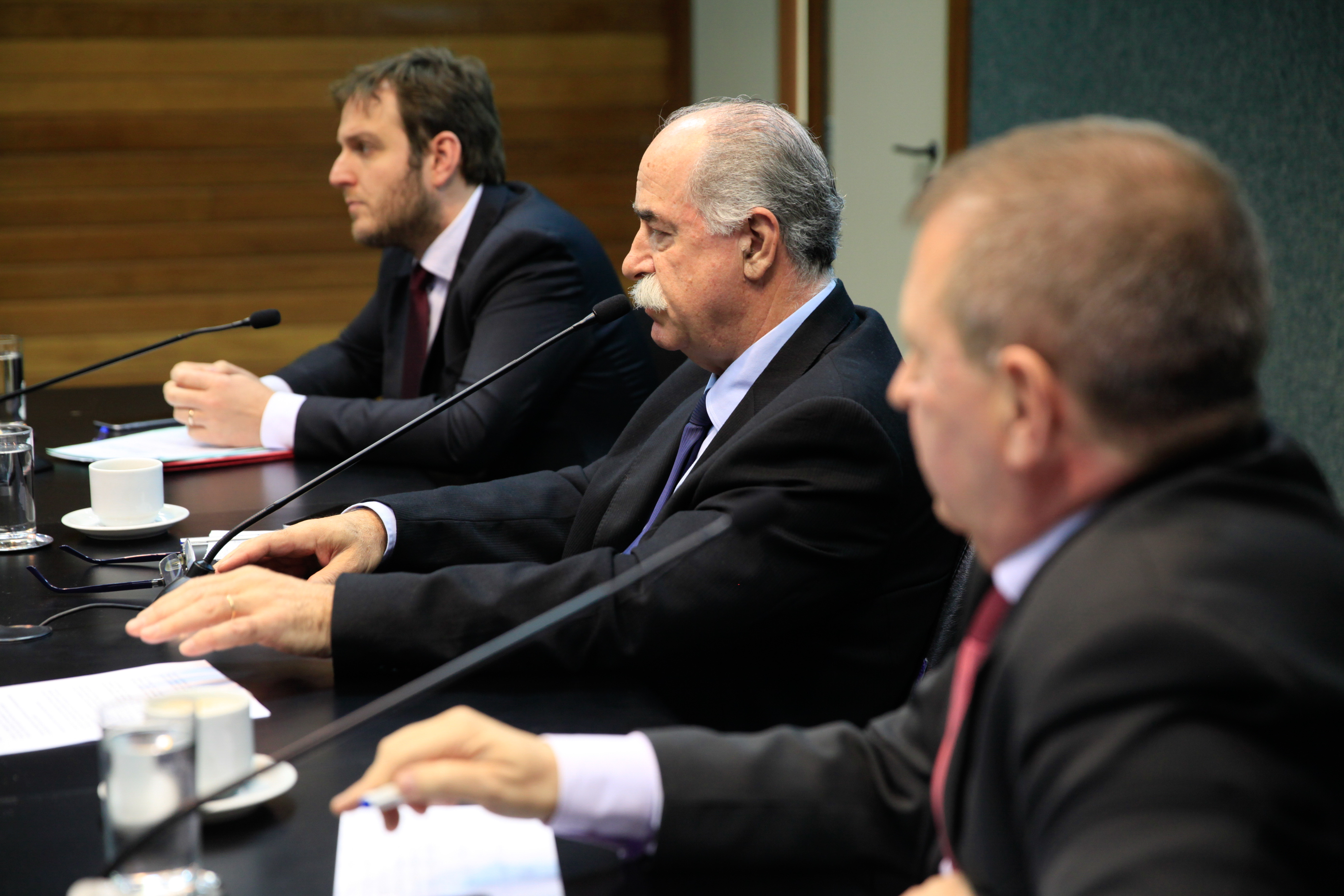 Comissão de Segurança Pública.