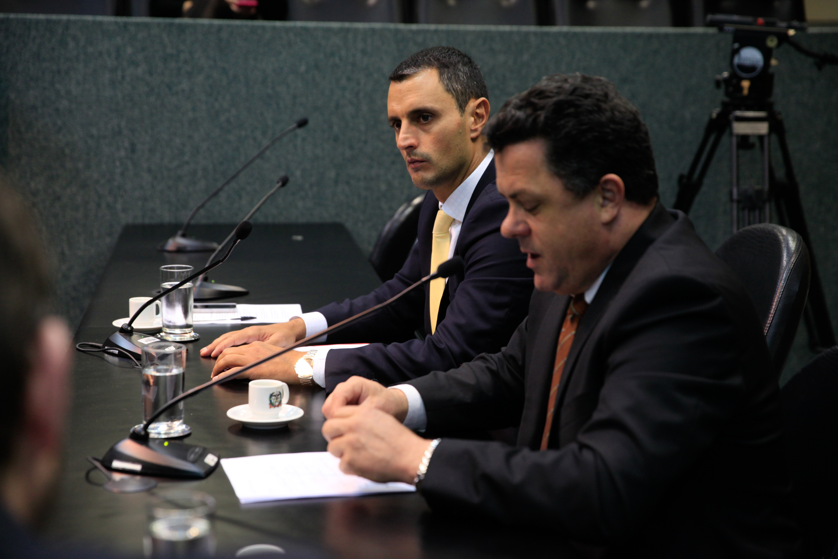 Comissão de Segurança Pública.