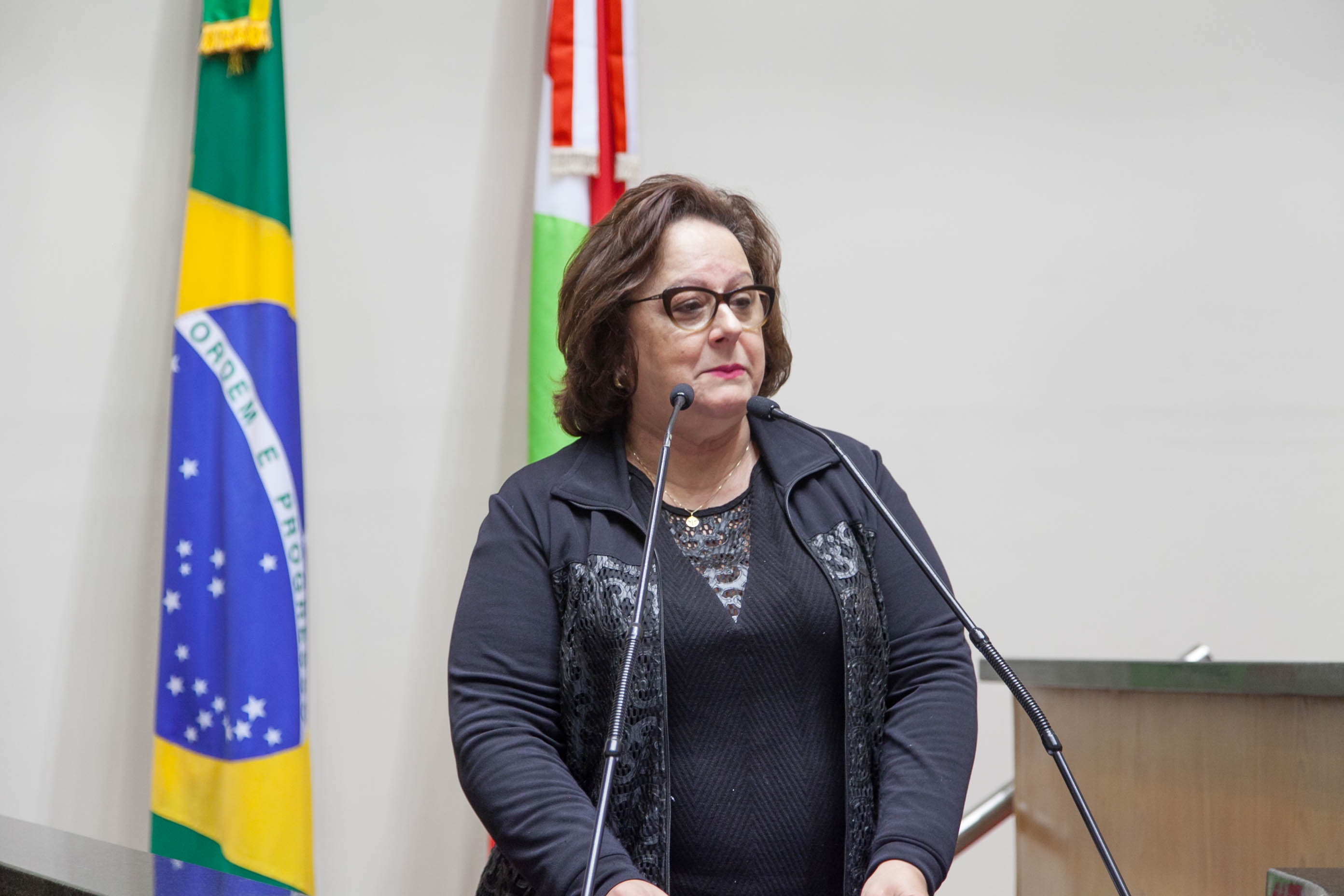 Deputada Dirce Heiderscheidt (PMDB) em Sessão Ordinária