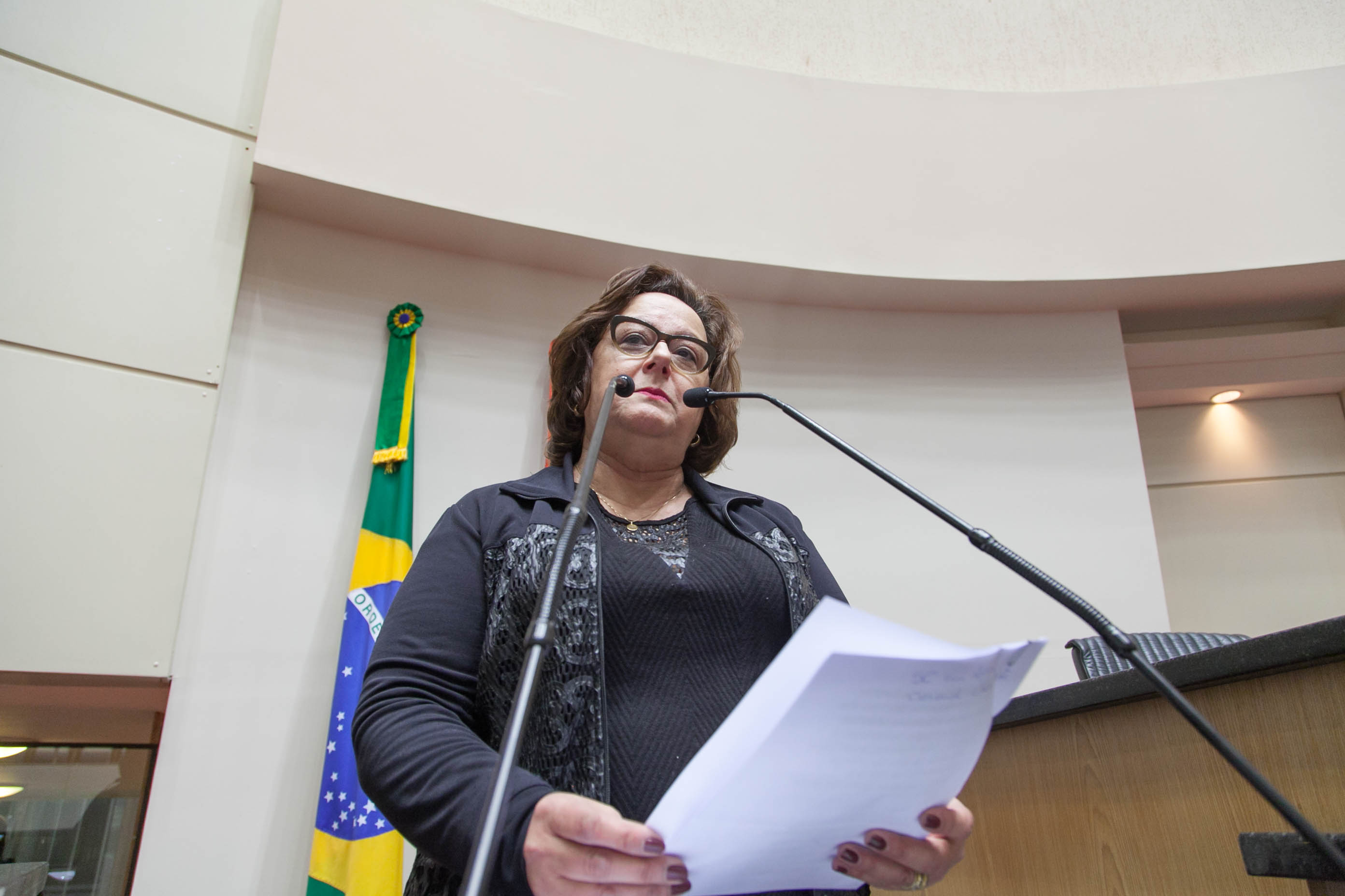 Deputada Dirce Heiderscheidt (PMDB) em Sessão Ordinária