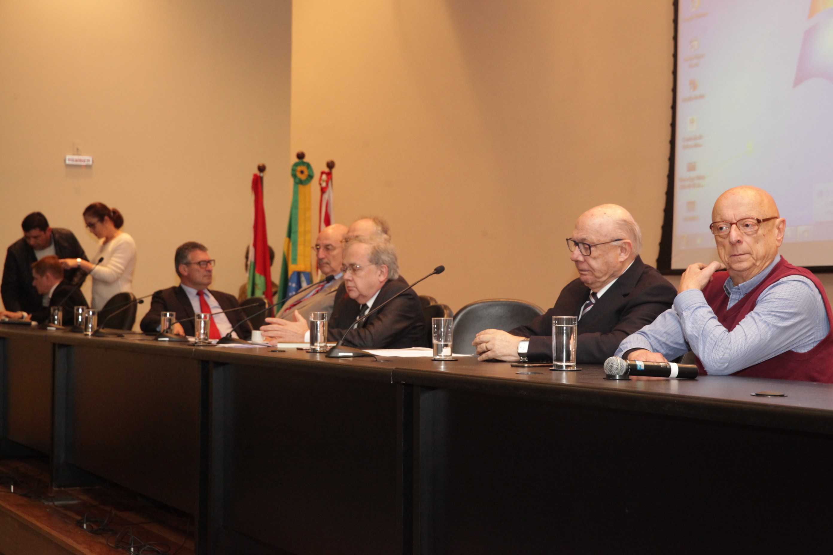Audiência Pública - Marco Legal da Primeira Infância.