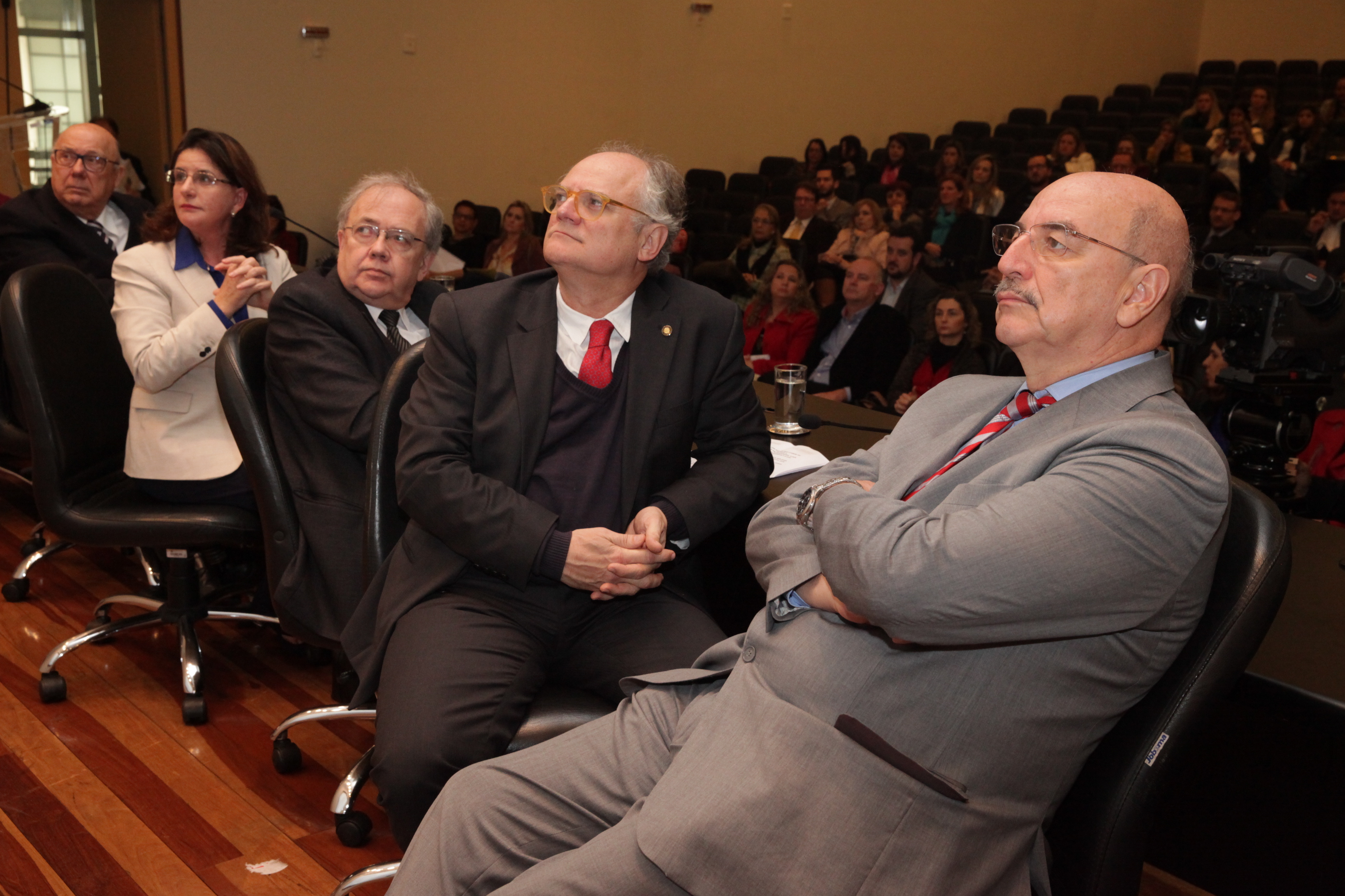 Audiência Pública - Marco Legal da Primeira Infância.