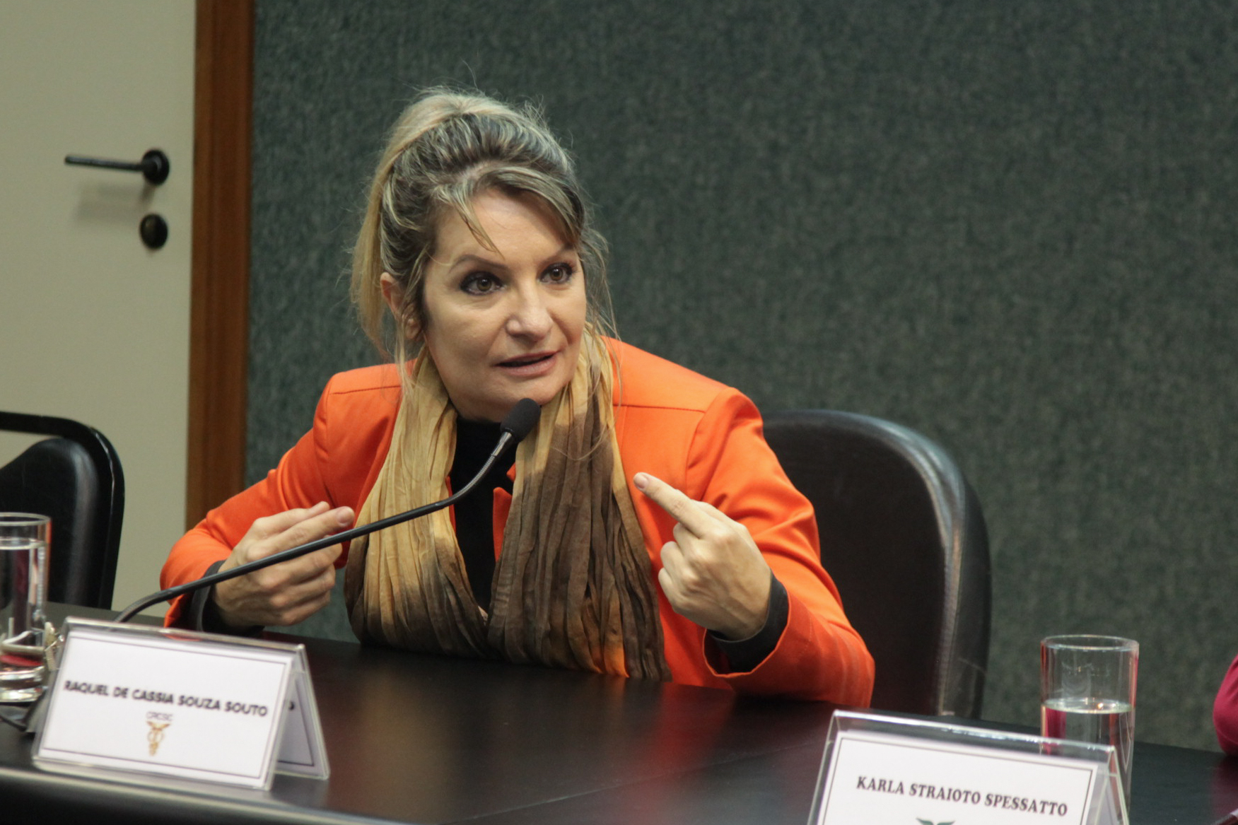Comissão de Responsabilidade Social. Raquel de Cássia Souza Souto.