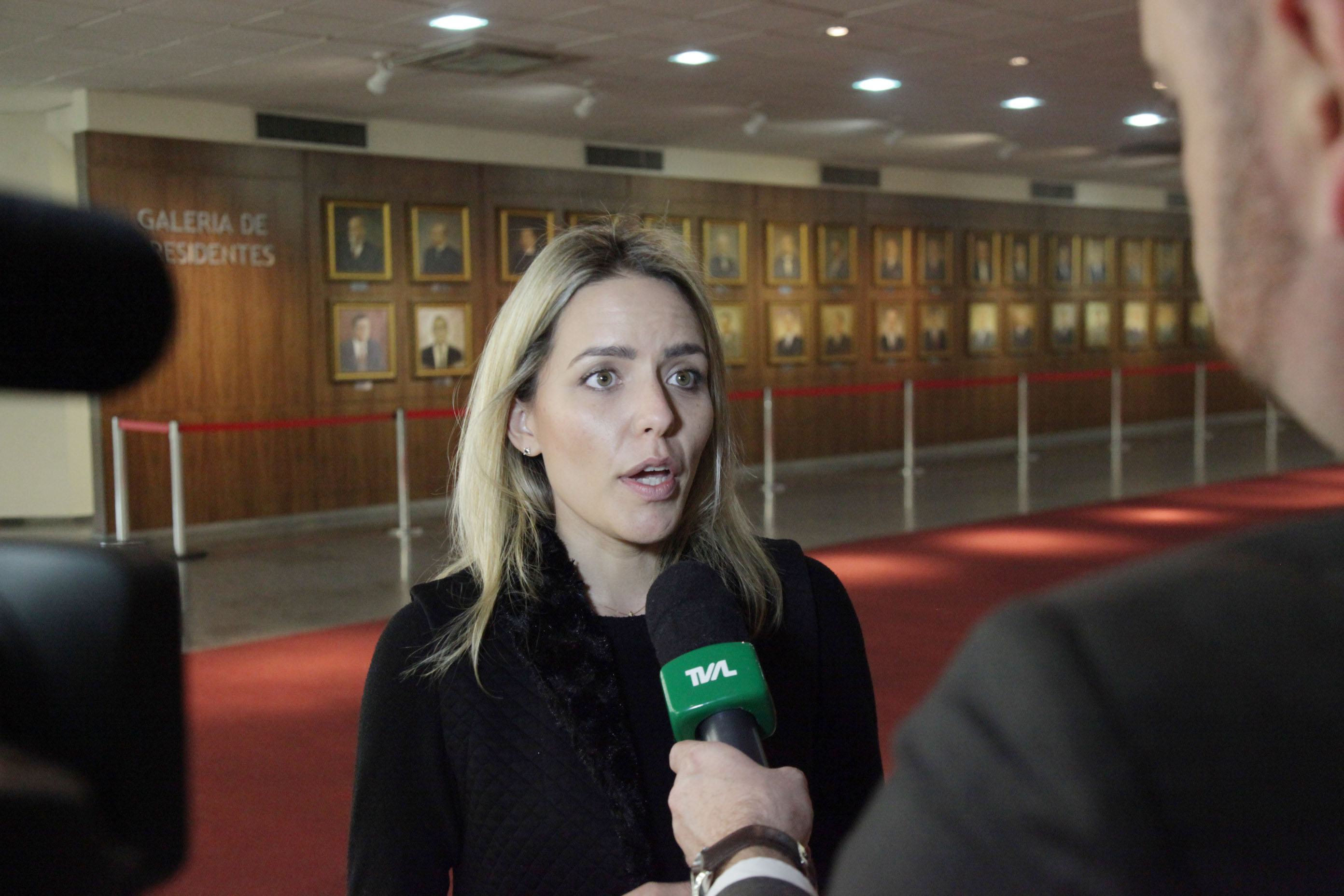 Renata Pereira Guimarães, Vice-Presidente da Comissão de Direito Eleitoral da OAB-SC em Série das Eleições - Voto Feminino