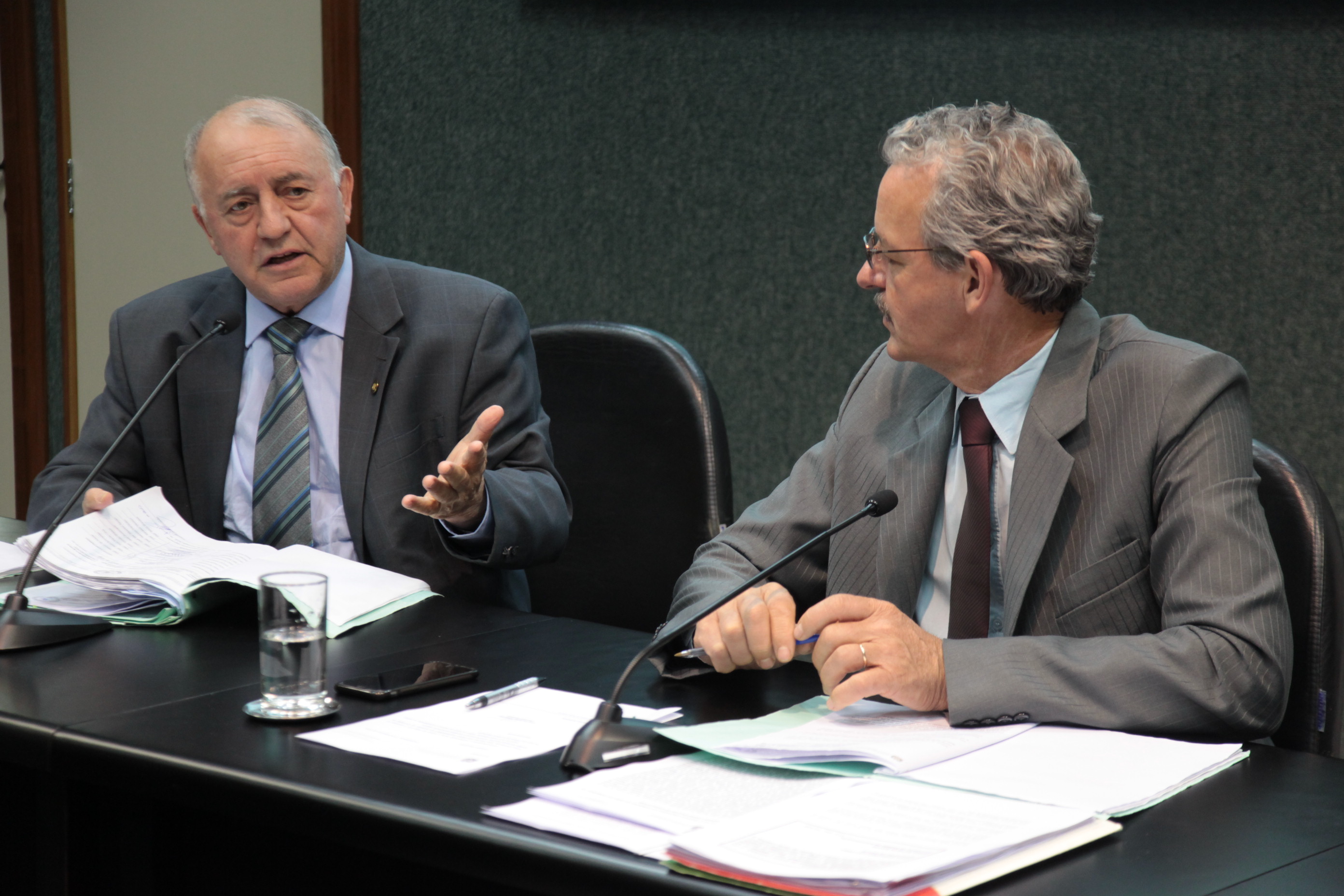 Reunião da Comissão de Direitos Humanos.