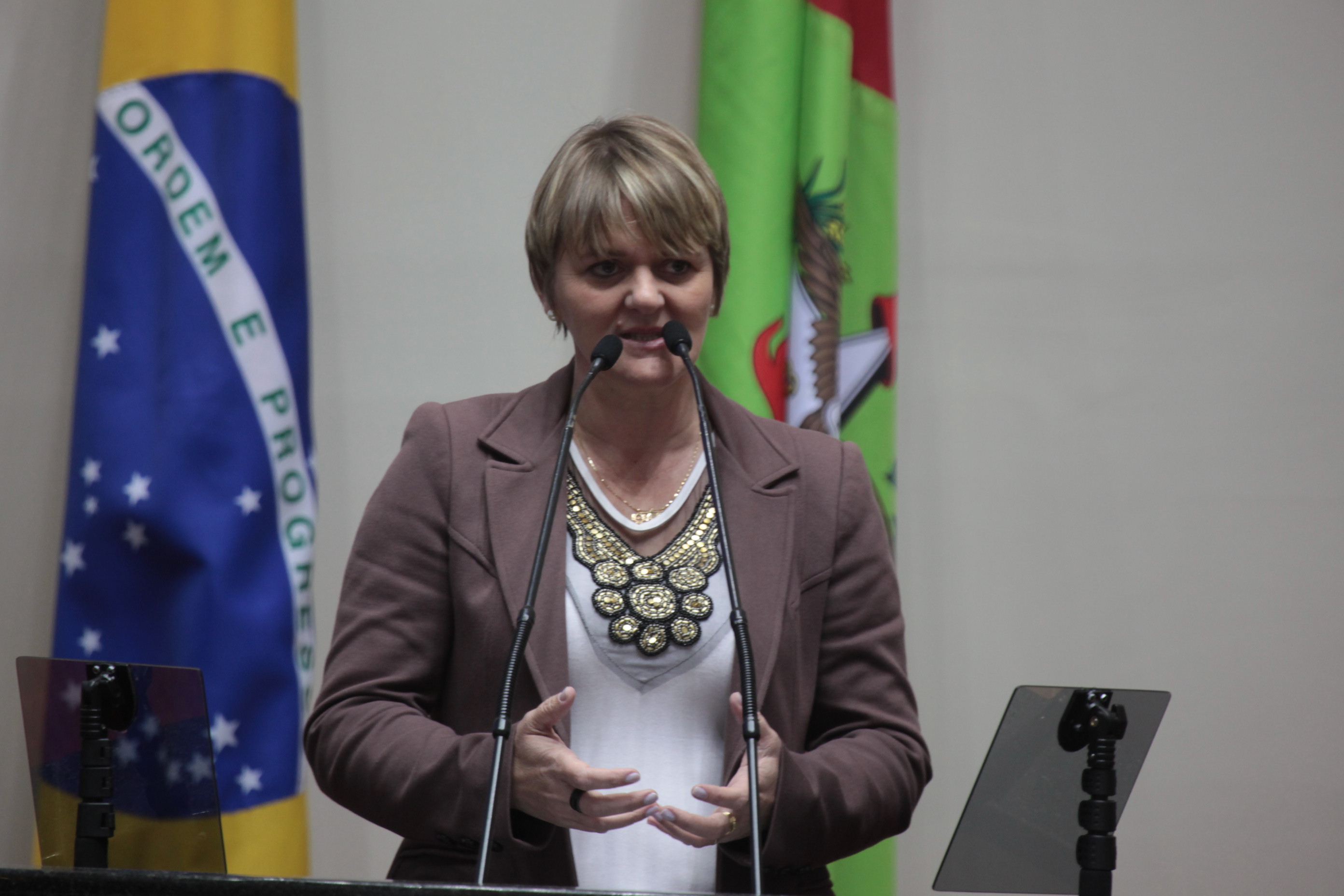 Sessão Ordinária. Deputada Luciane Carminatti (PT)