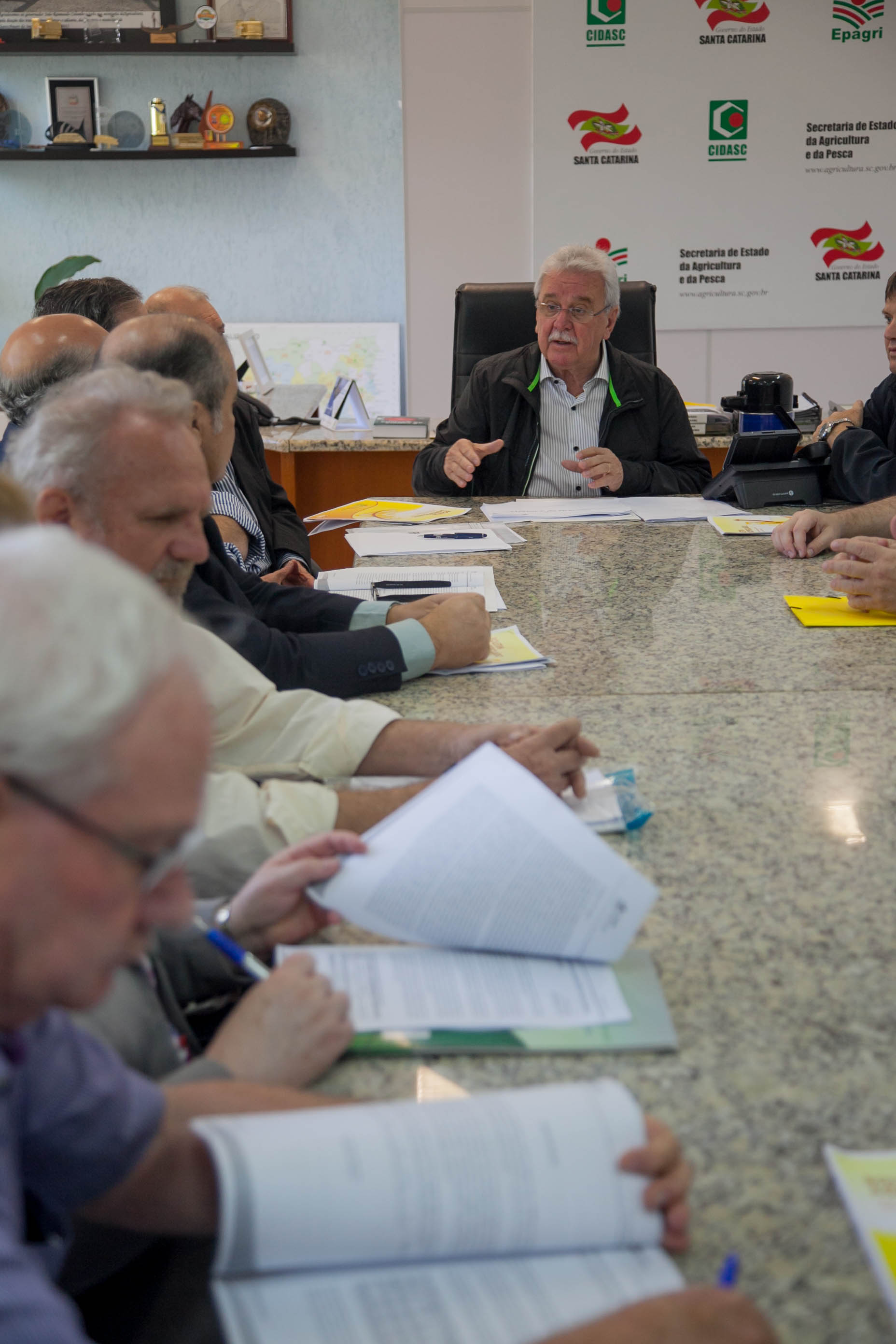 Safra de 2016/17 terá aumento na área plantada de milho em SC