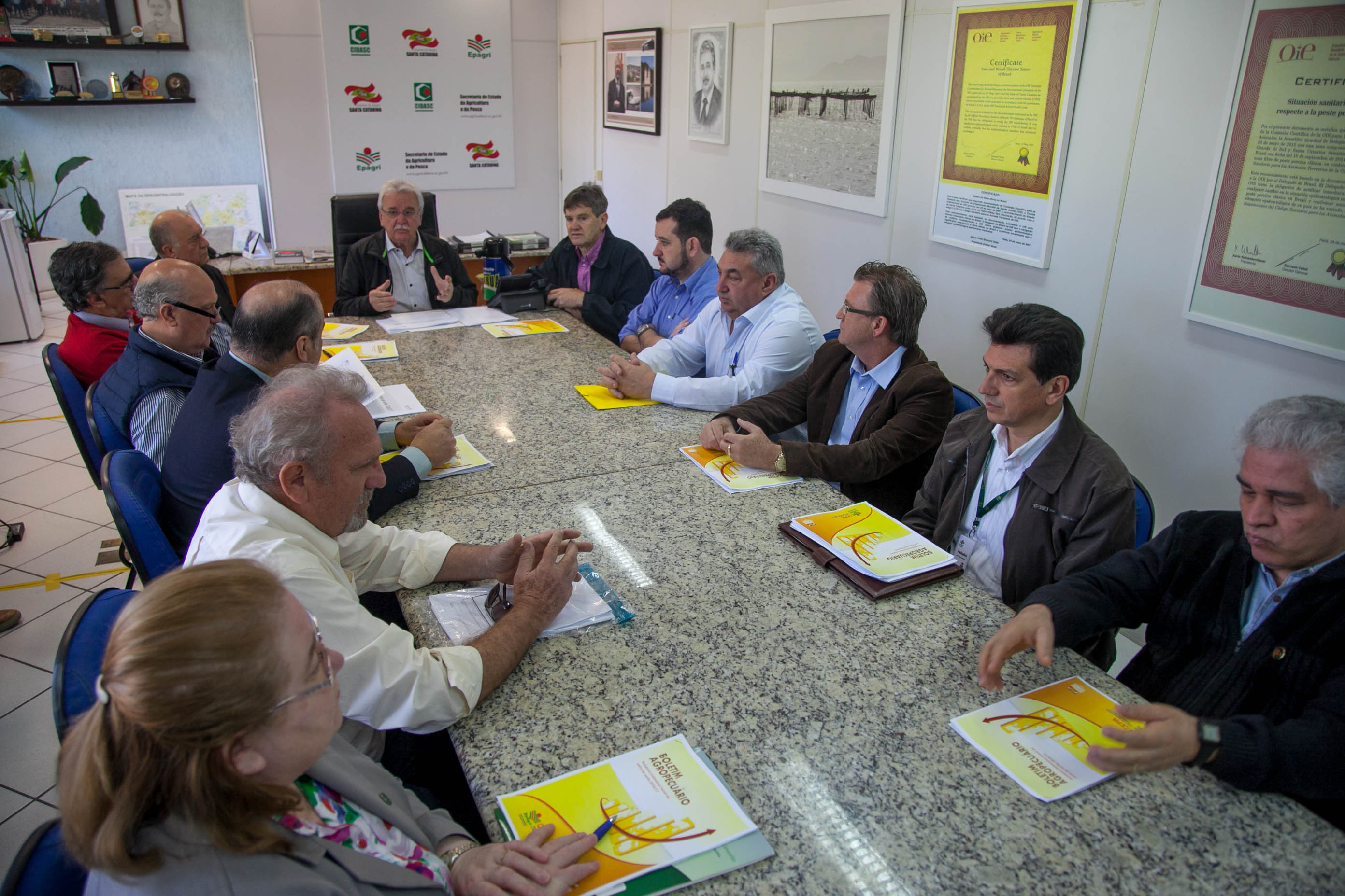 Safra de 2016/17 terá aumento na área plantada de milho em SC