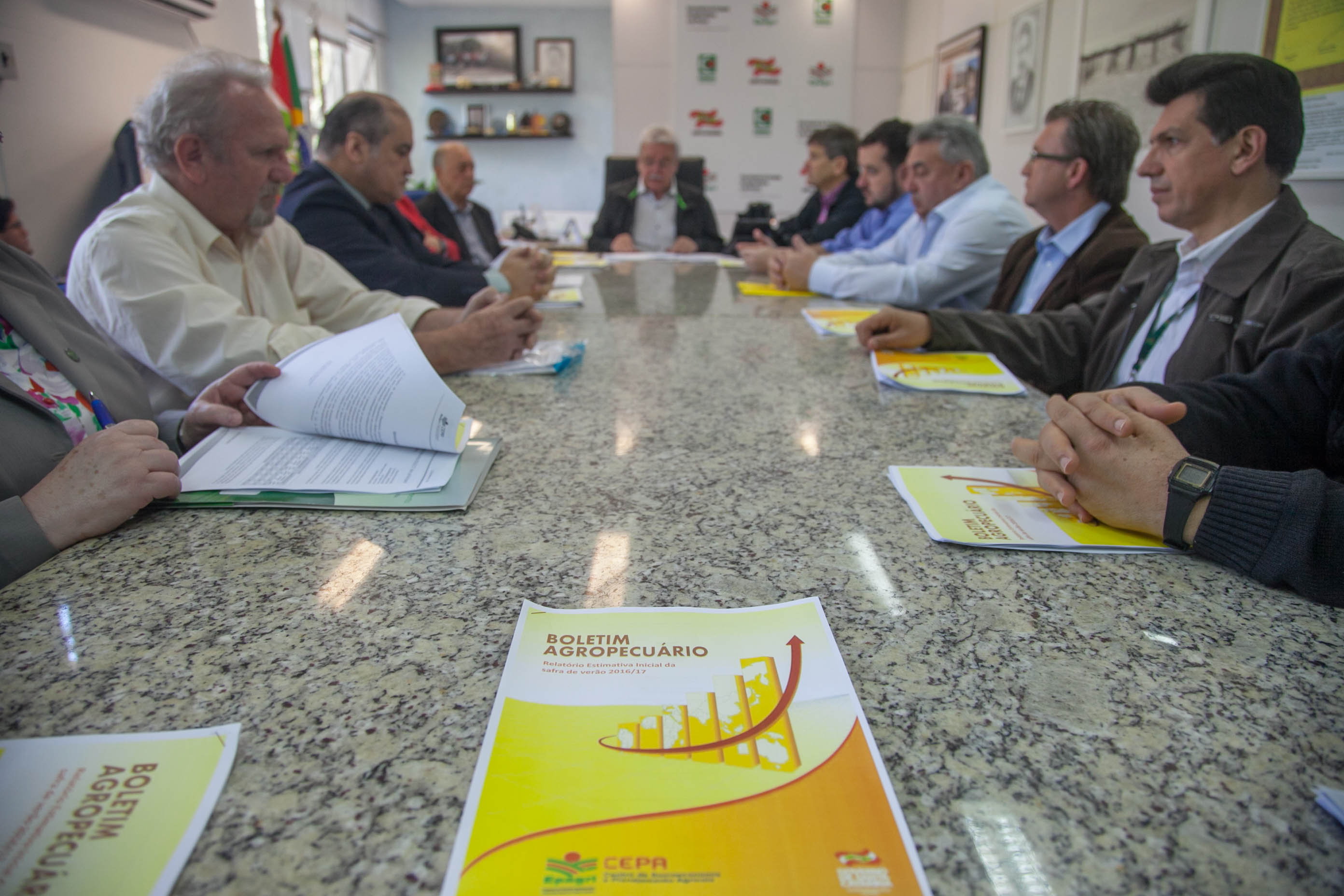 Safra de 2016/17 terá aumento na área plantada de milho em SC