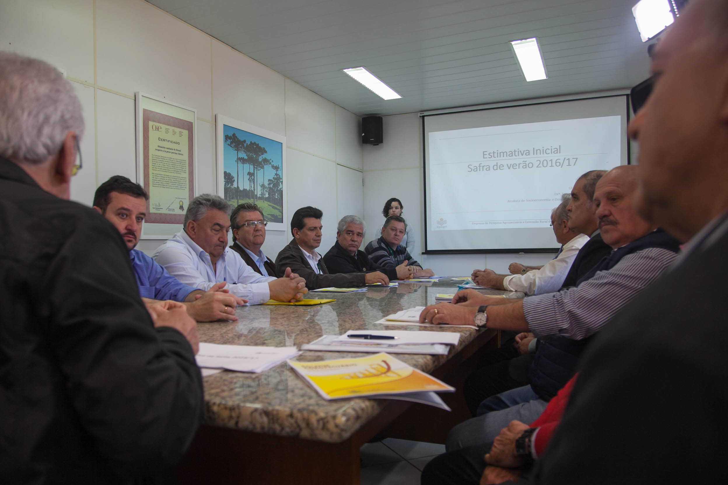 Safra de 2016/17 terá aumento na área plantada de milho em SC