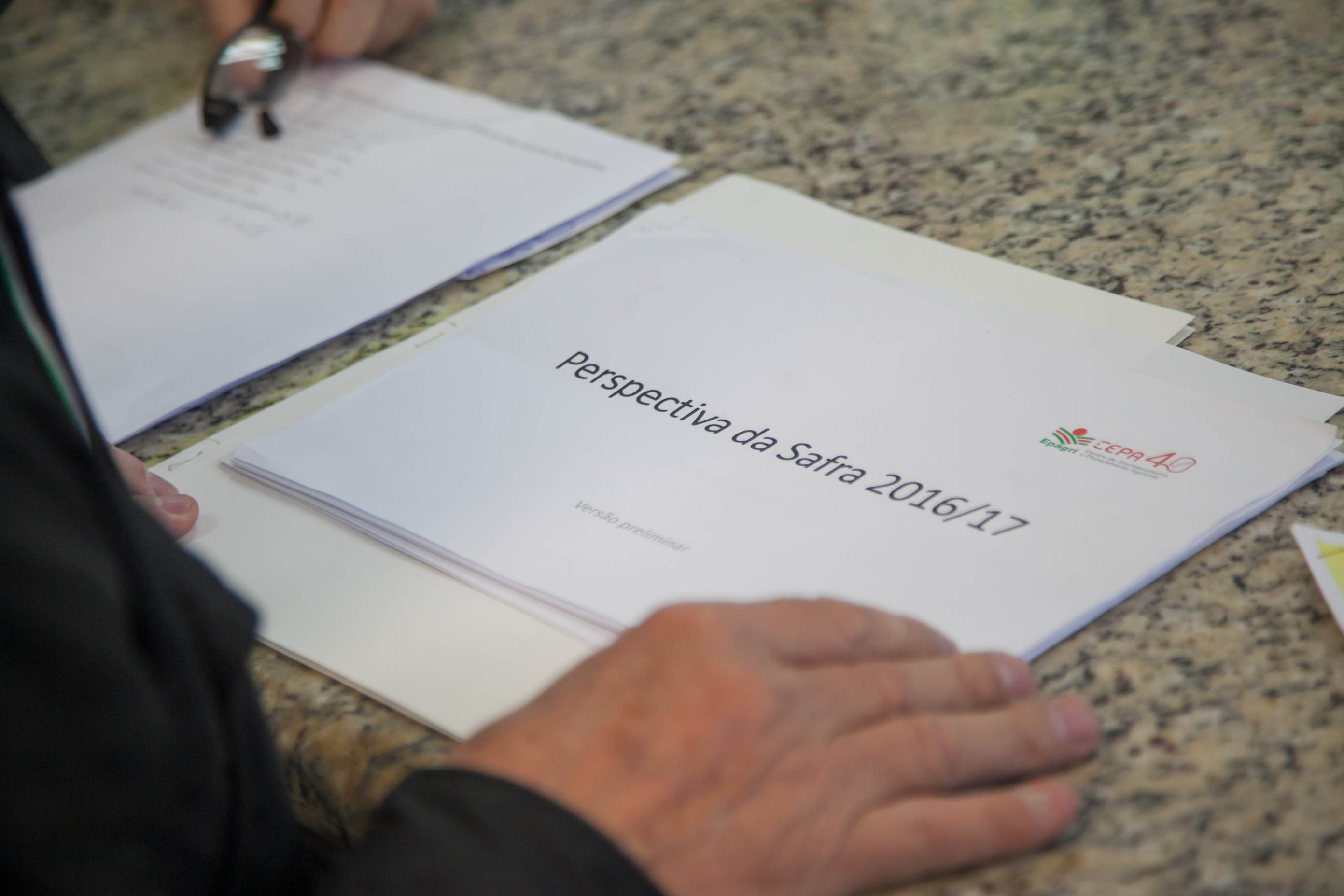Safra de 2016/17 terá aumento na área plantada de milho em SC