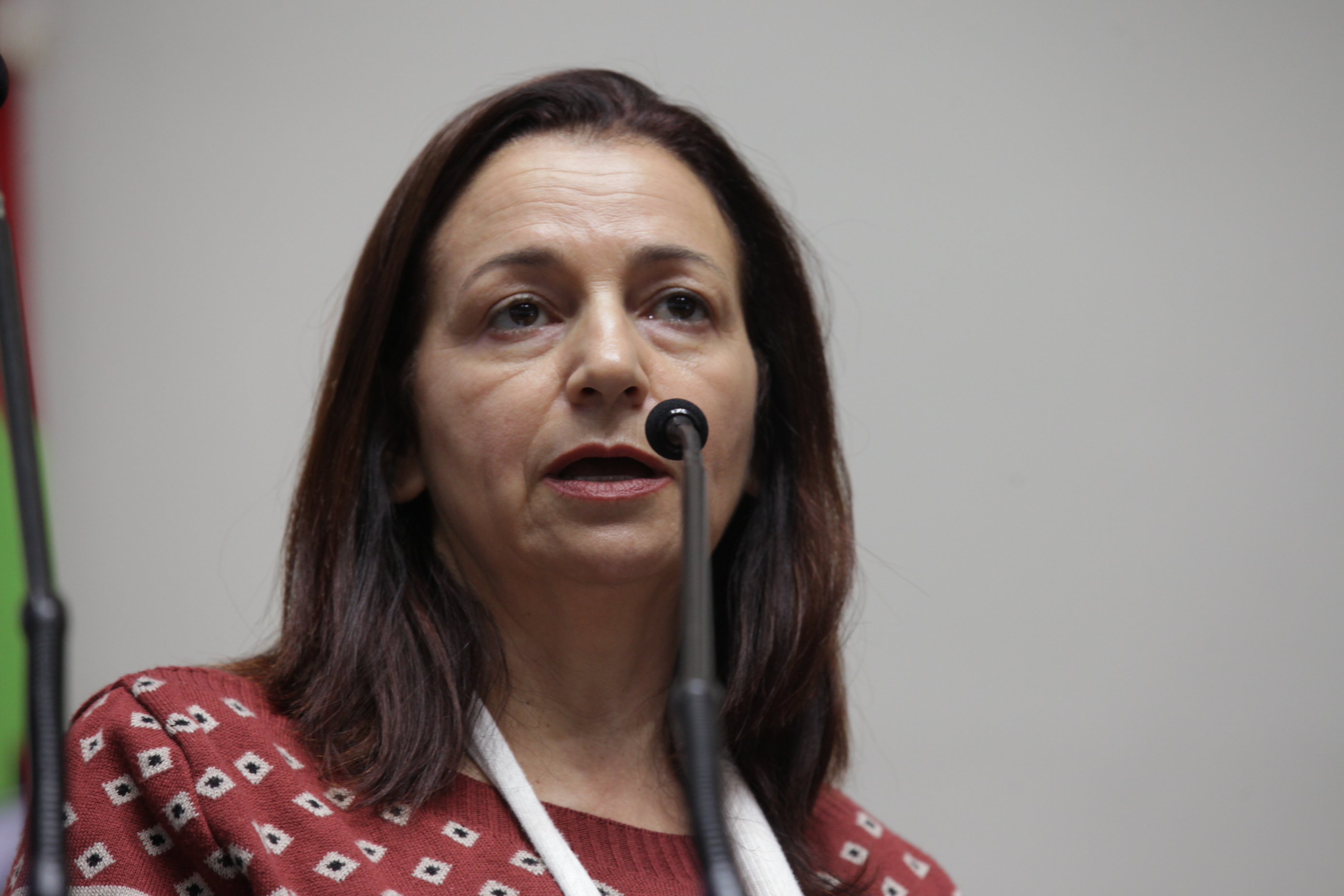 Audiência Pública- Defesa dos Direitos do Trabalhadores. Ana Julia Rodrigues. Foto: Daniella Coriolano/Agência AL.