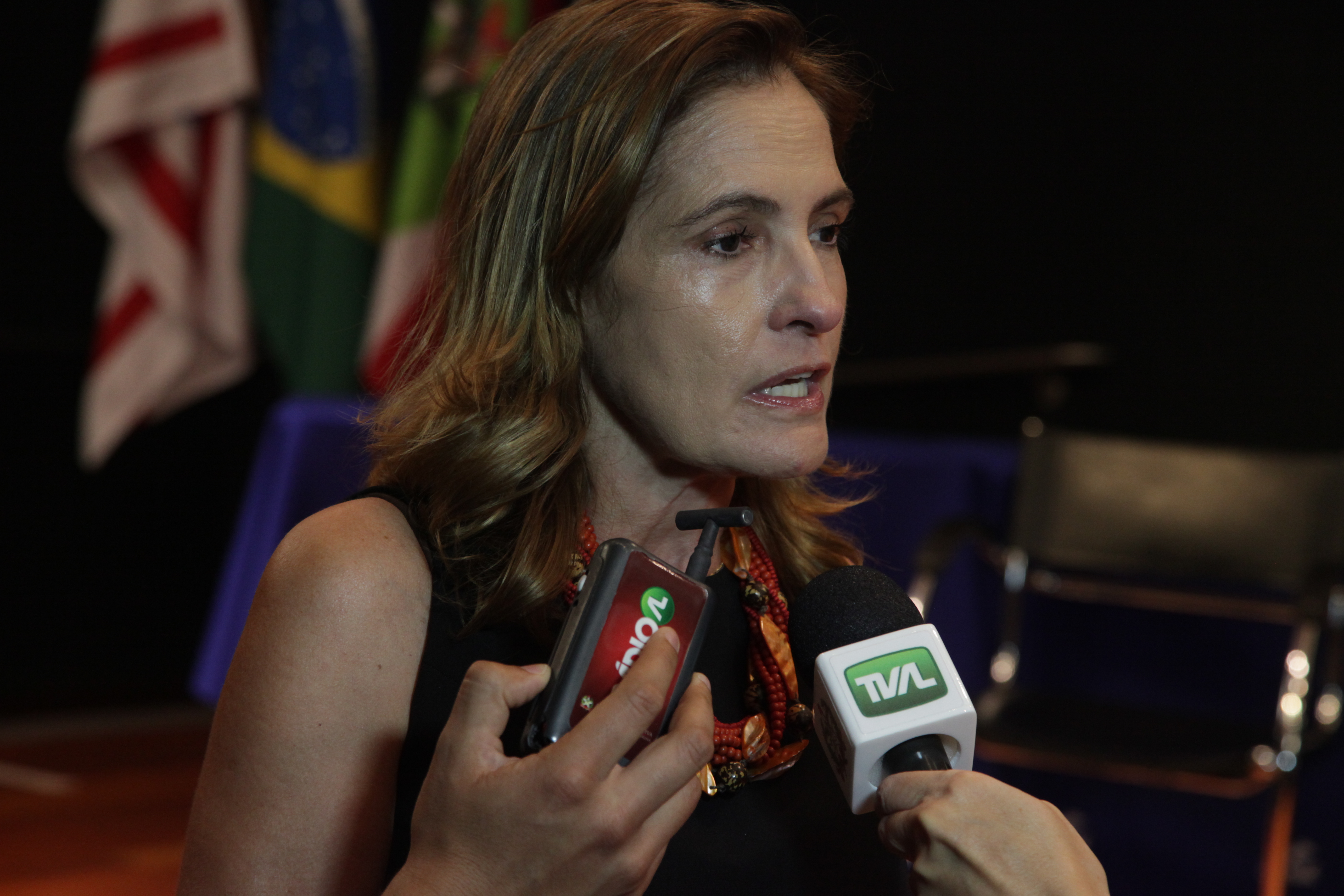 Fernanda Maria Pessoa Di Cavalcanti. Seminário Lei de Inclusão da Pessoa com Deficiência. Foto: Eduardo Guedes de Oliveira / Agência AL