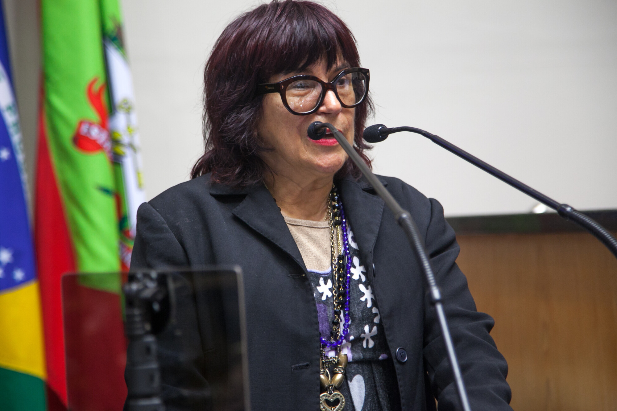 Maria de Lourdes de Souza, coordenadora do Projeto Inovação