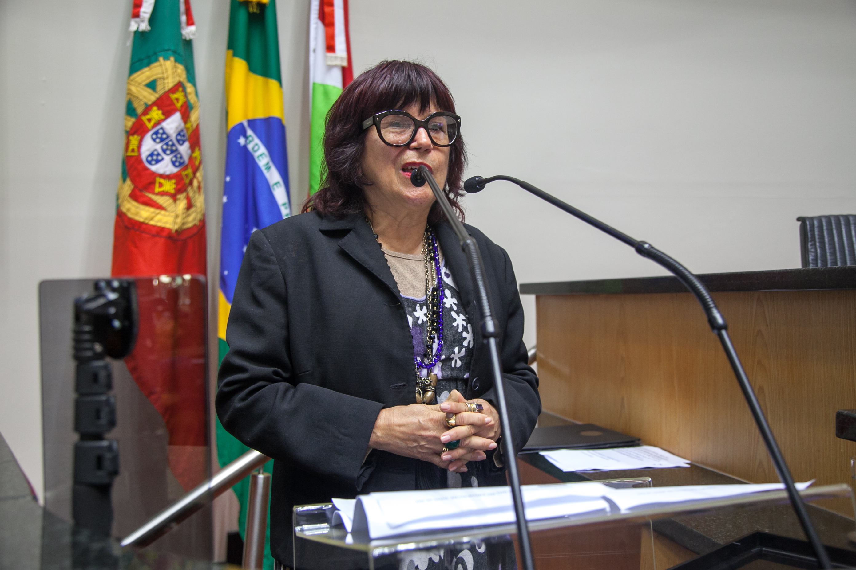 Deputado Ismael dos Santos (PSD), Presidente da Comissão de Prevenção e Combate à Drogas - Conferência da Cooperação de Portugal e União Europeia no Programa Reviver
