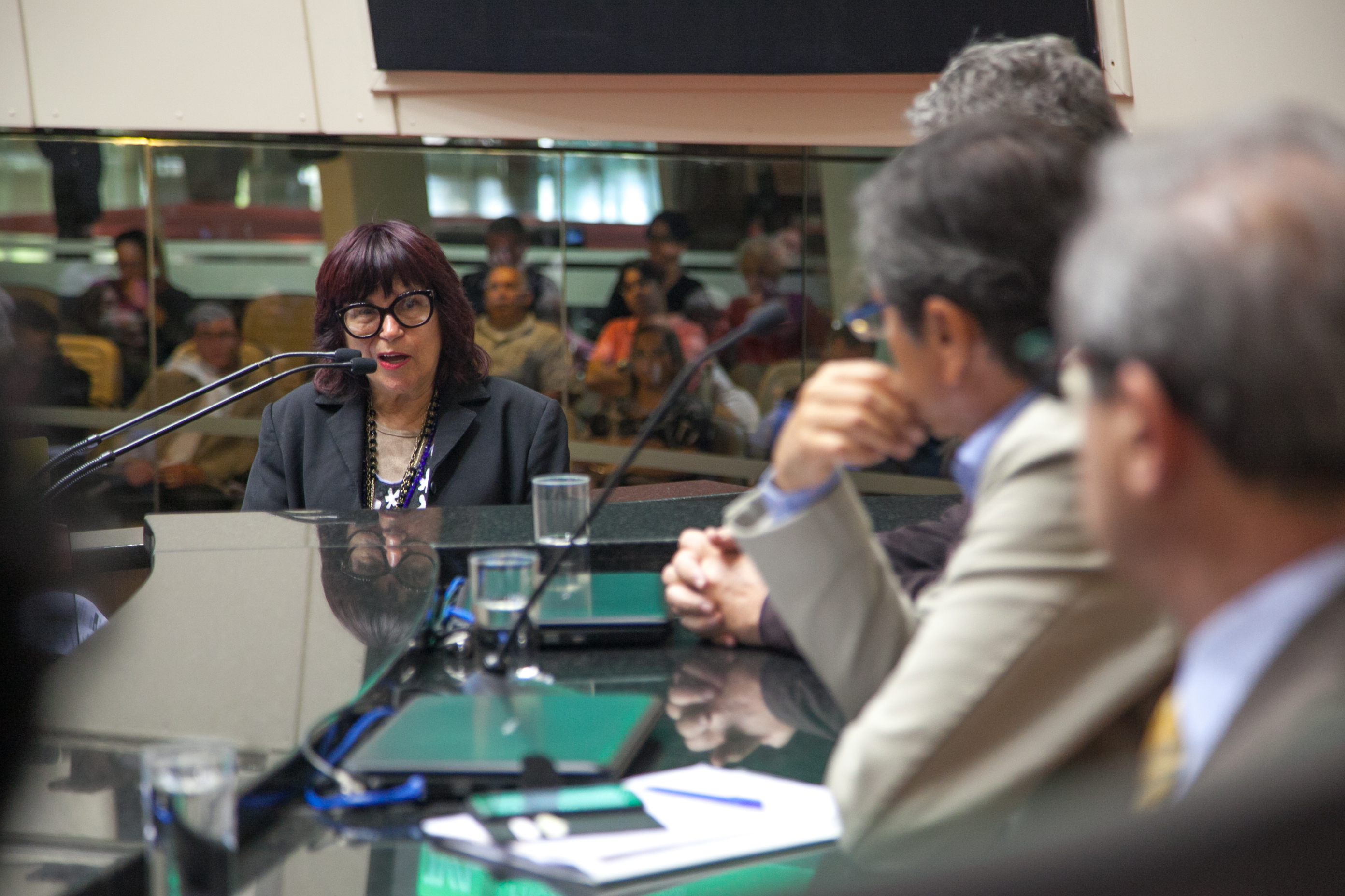 Conferência da Cooperação de Portugal e União Europeia no Programa Reviver