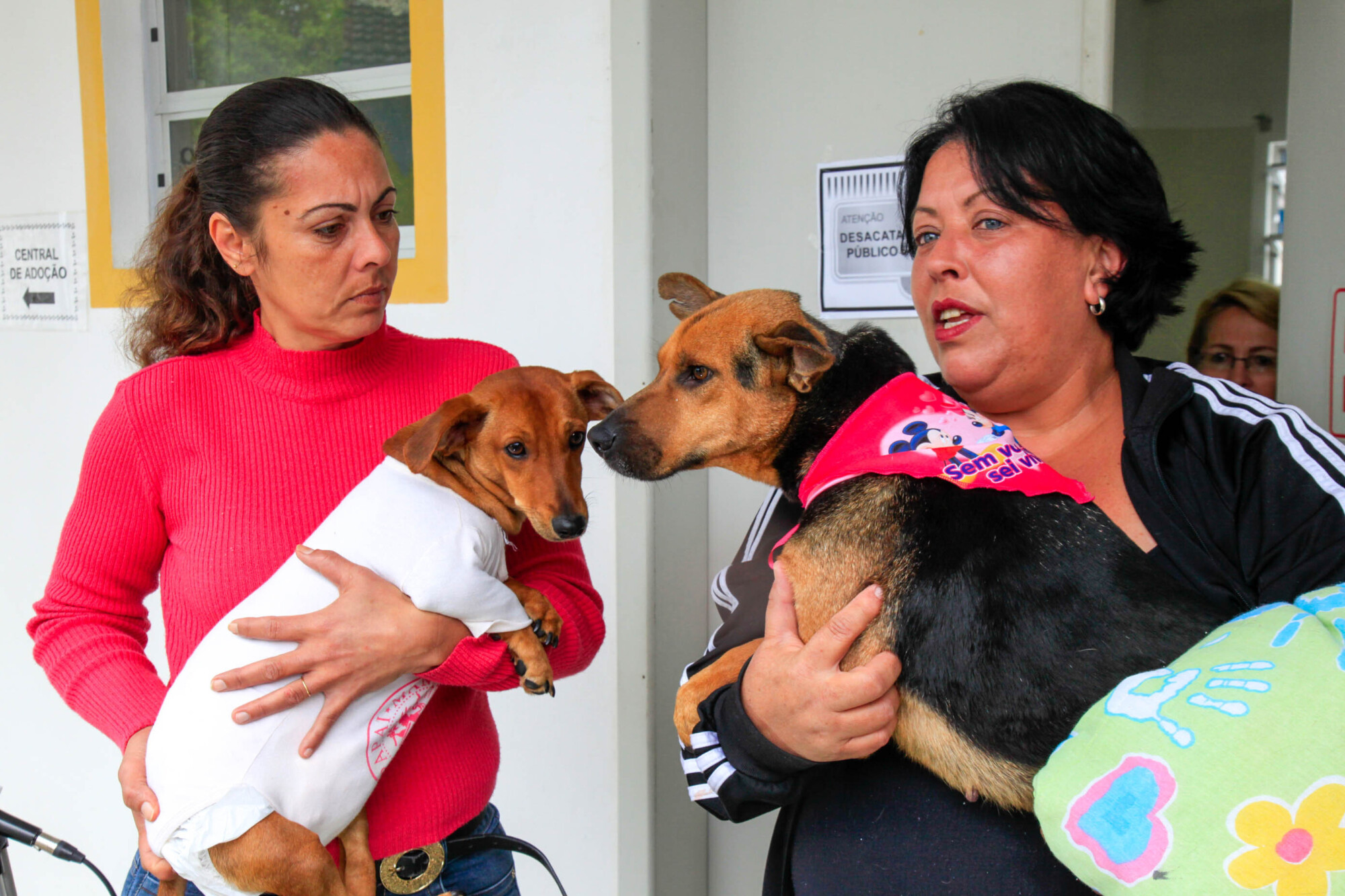 Karina Rosa Braga (E) e Roseane Mangrich atuam como protetoras na Grande Florianópolis