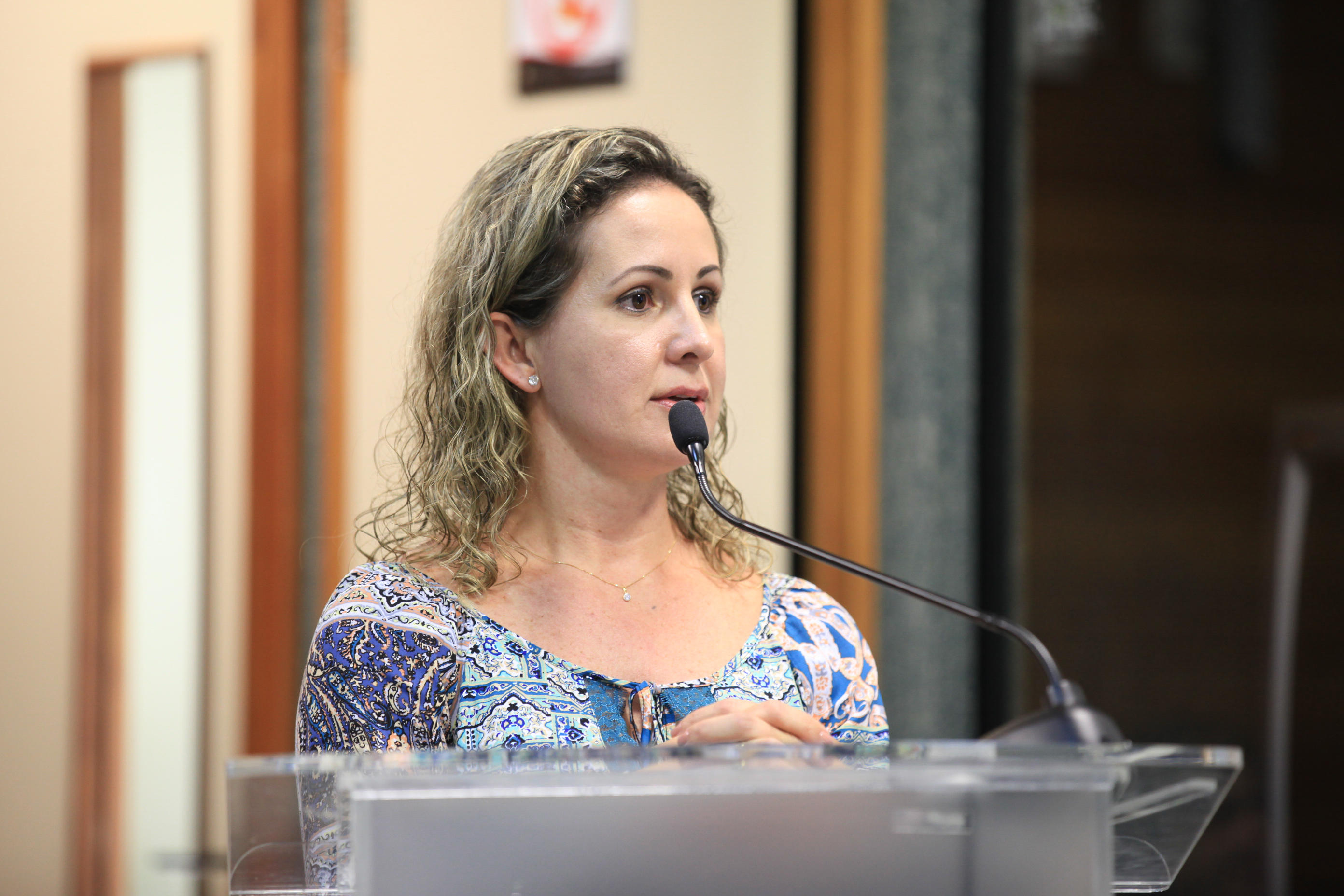 Audiência Pública - Serviço de Proteção Social aos Adolescentes.