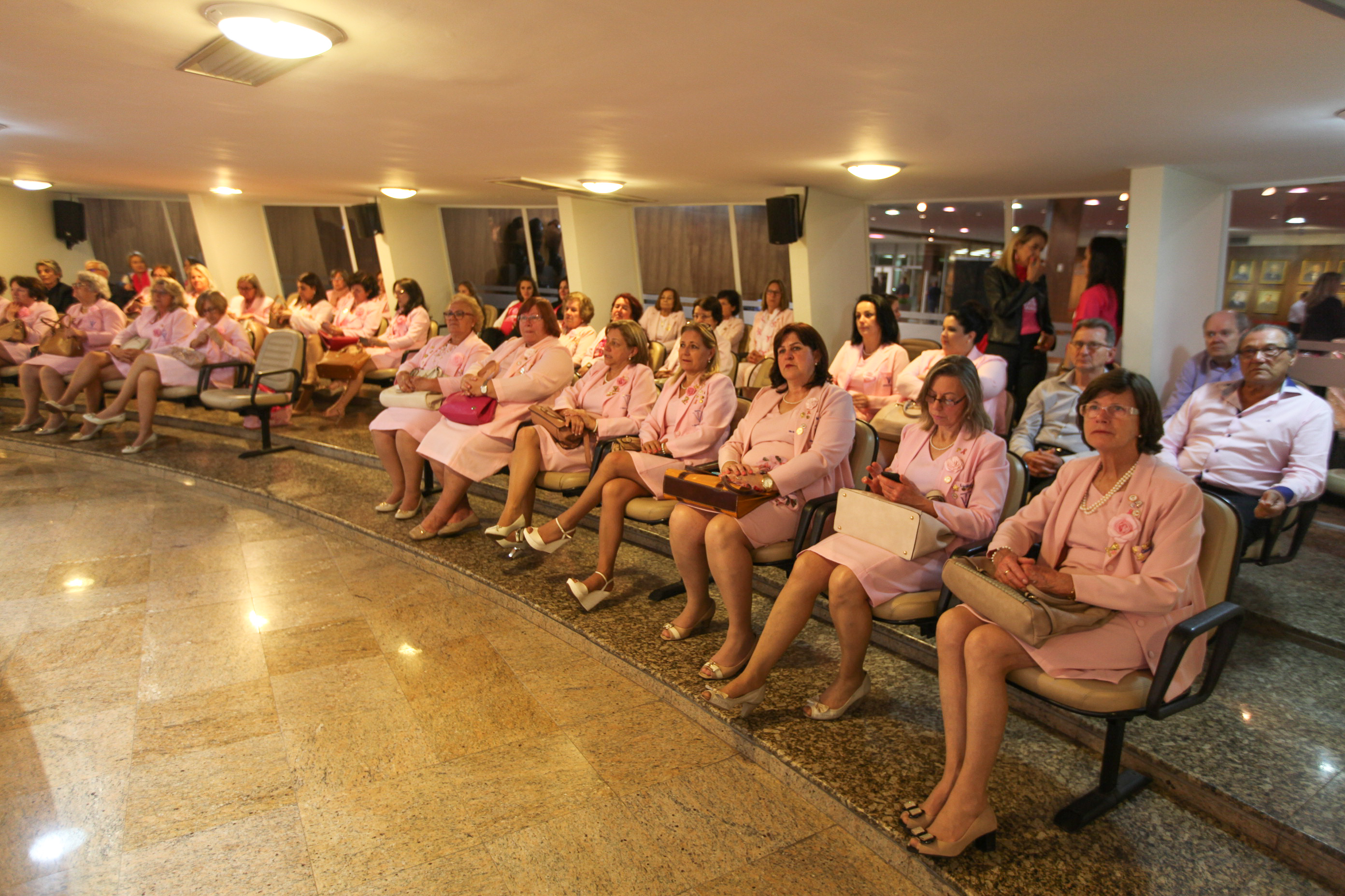 Sessão Especial em comemoração dos 55 anos de fundação da Rede Feminina de Combate ao Câncer - RFECC.