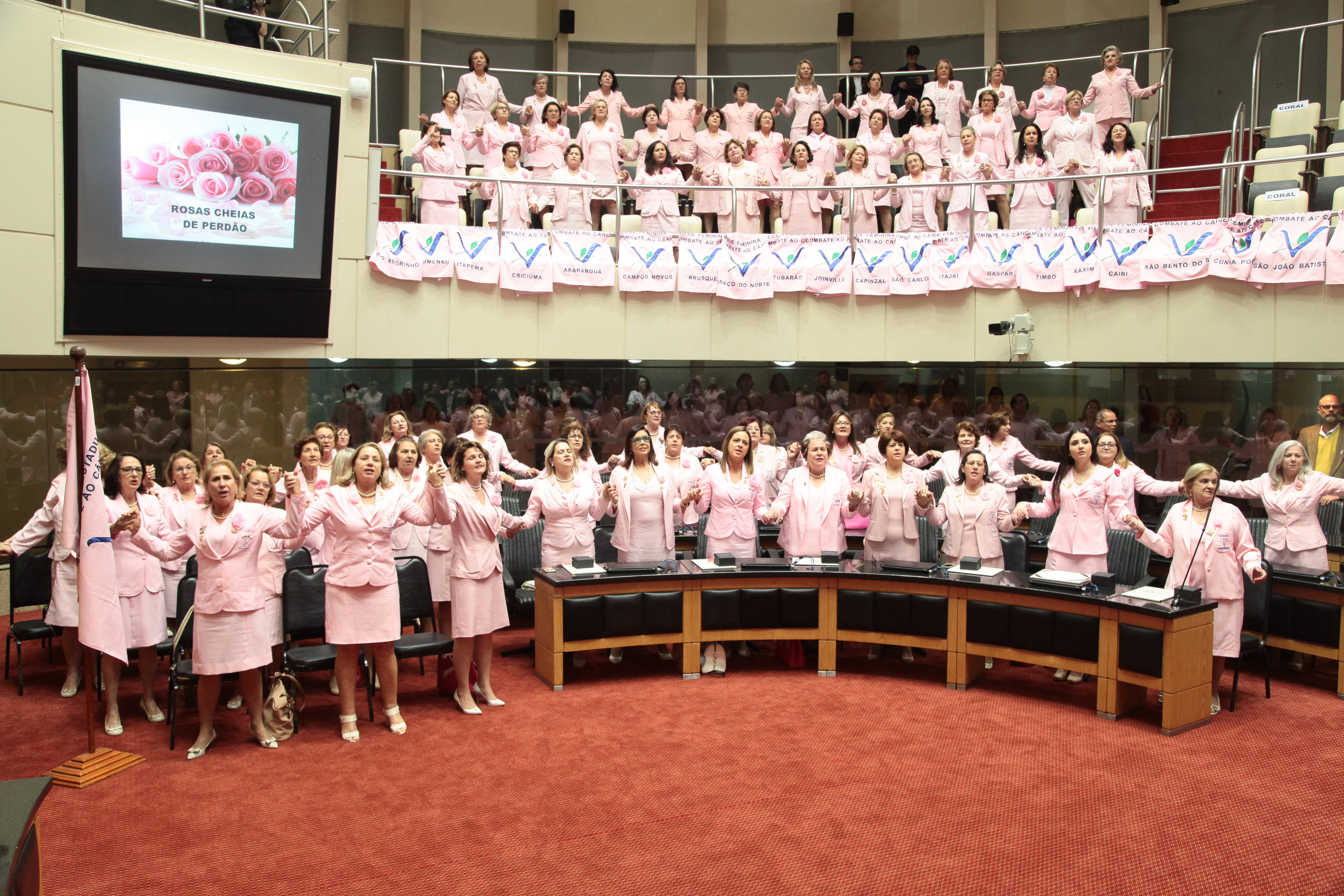 Sessão Especial em comemoração dos 55 anos de fundação da Rede Feminina de Combate ao Câncer - RFECC.