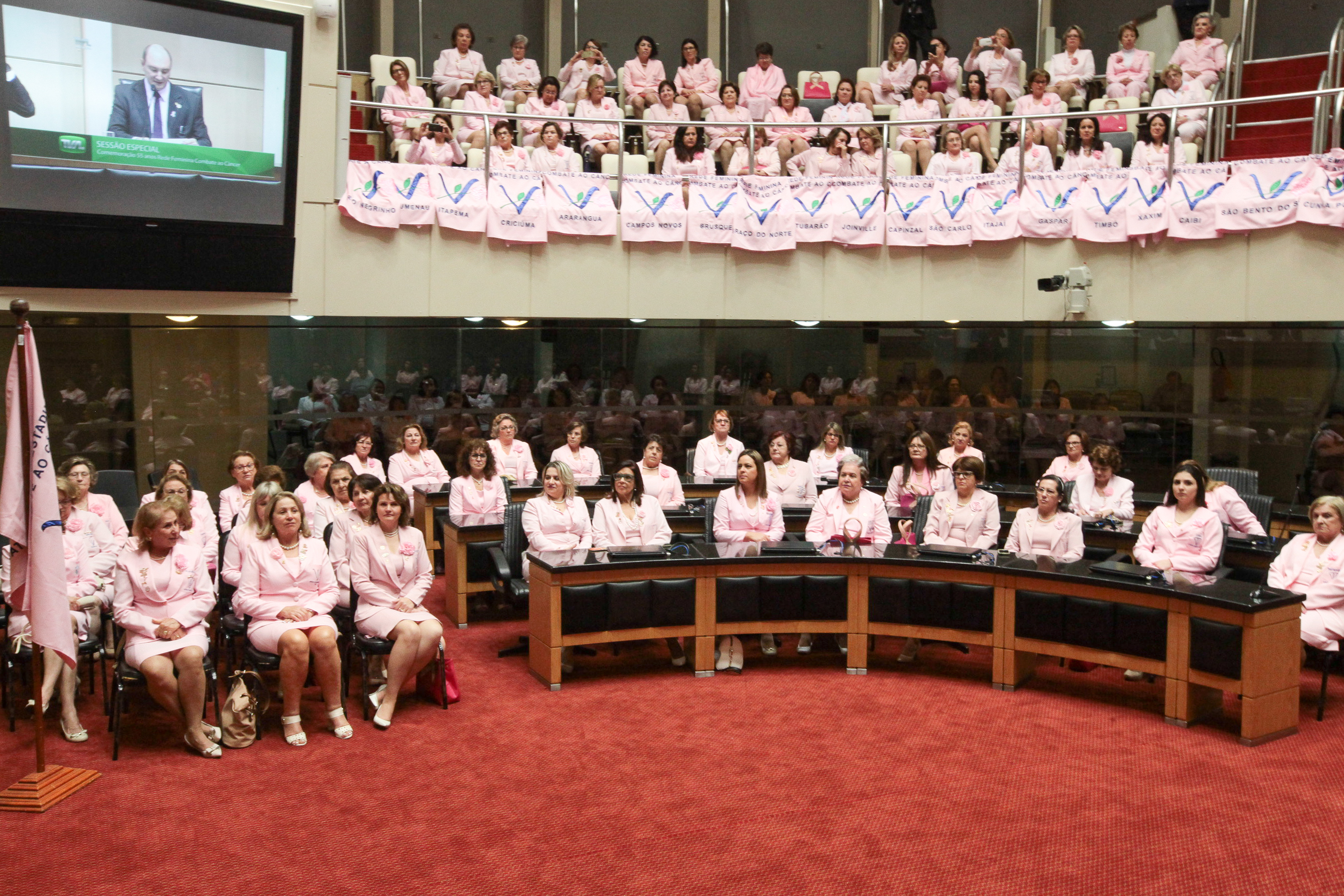 Sessão Especial em comemoração dos 55 anos de fundação da Rede Feminina de Combate ao Câncer - RFECC.