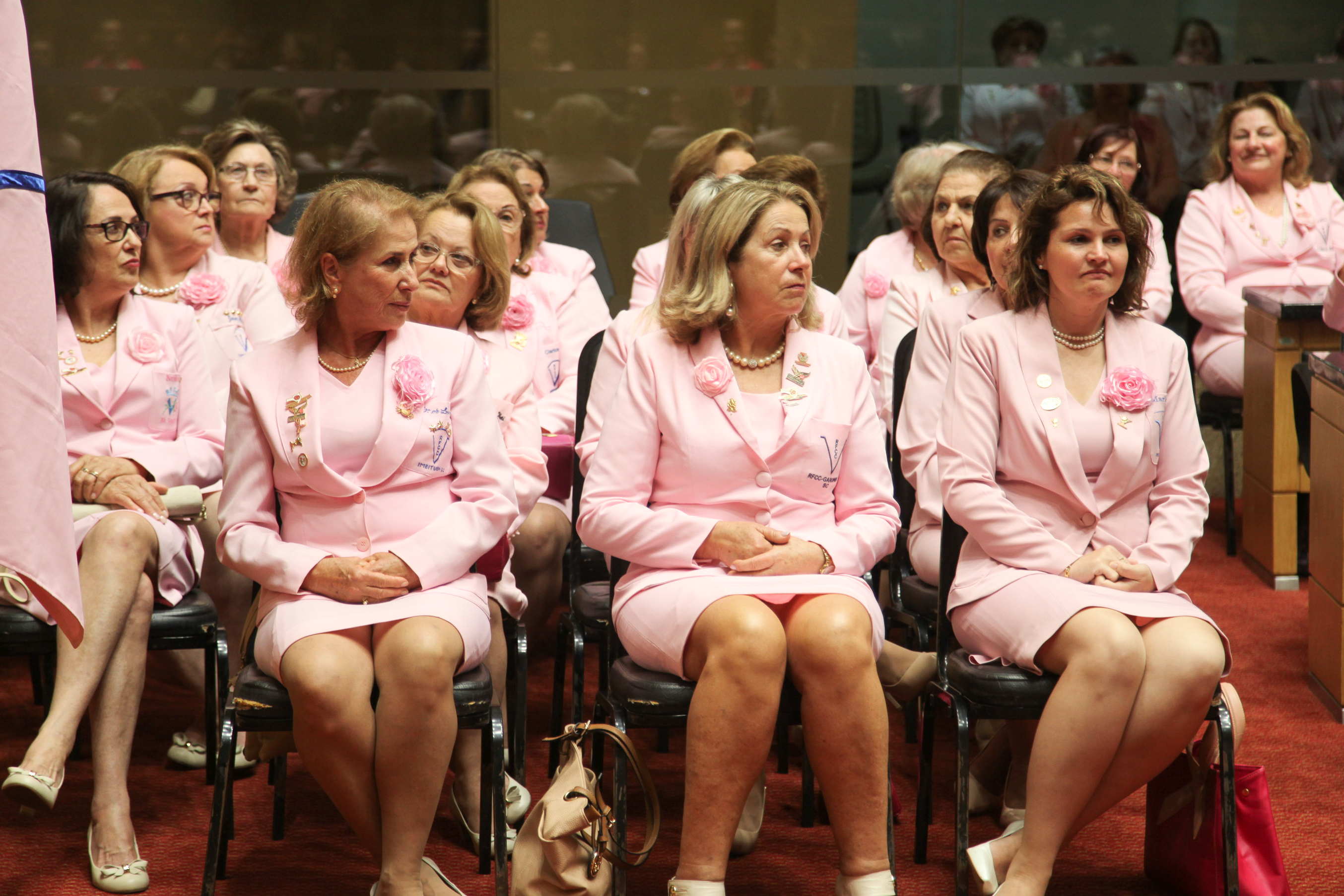 Sessão Especial em comemoração dos 55 anos de fundação da Rede Feminina de Combate ao Câncer - RFECC.