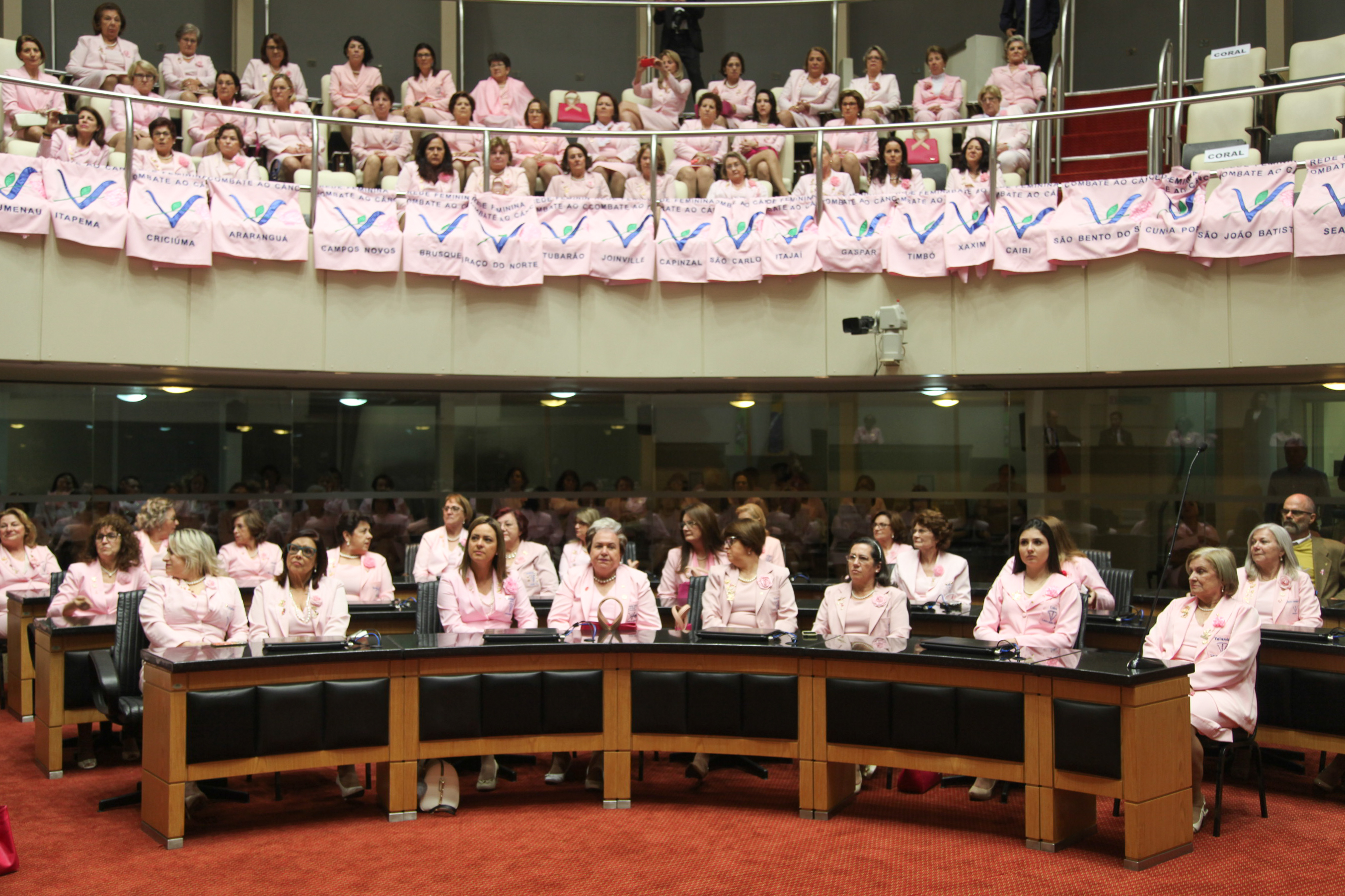 Sessão Especial em comemoração dos 55 anos de fundação da Rede Feminina de Combate ao Câncer - RFECC.