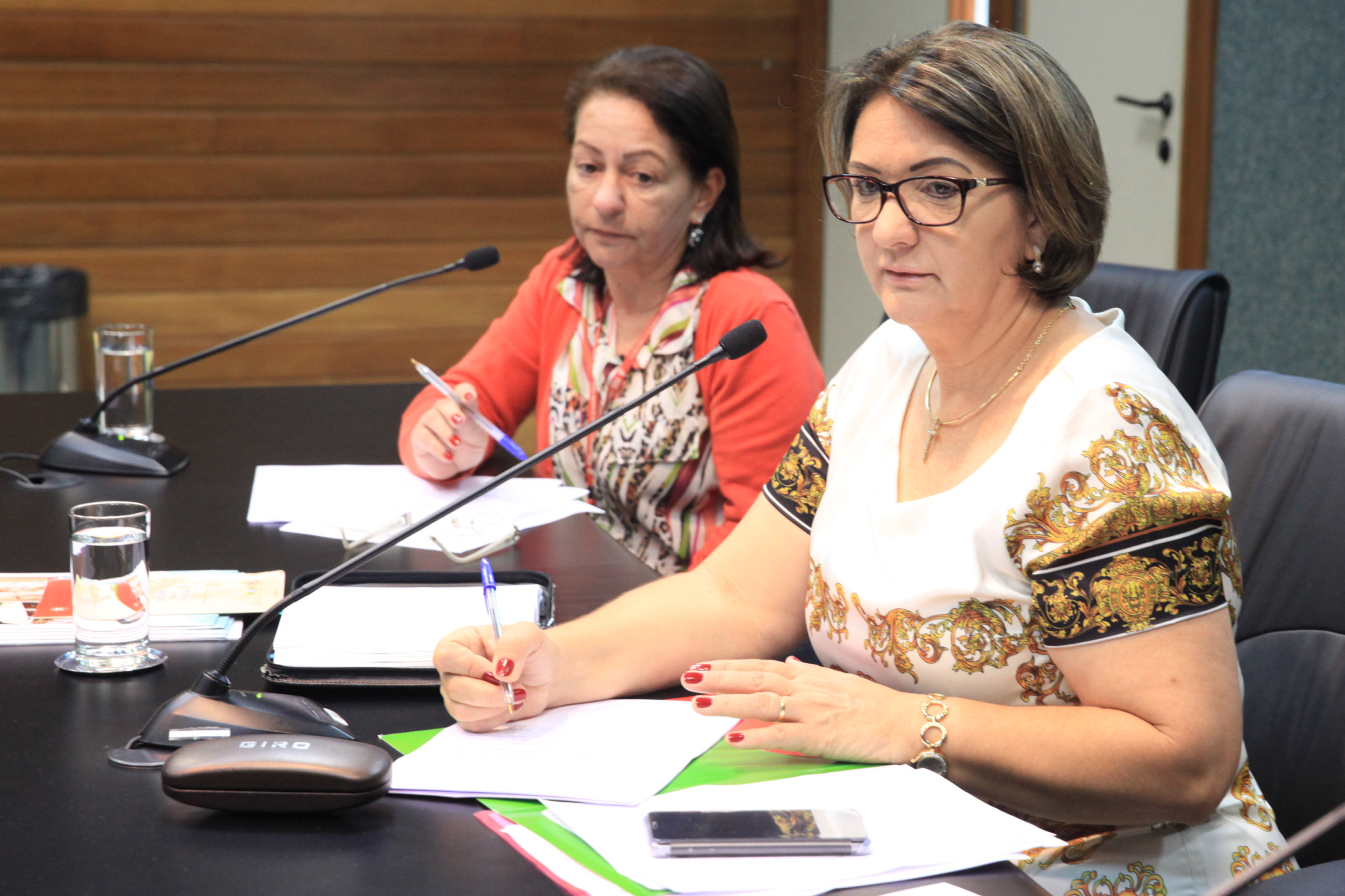 Comissão de Defesa dos Direitos da Pessoa com Deficiência.