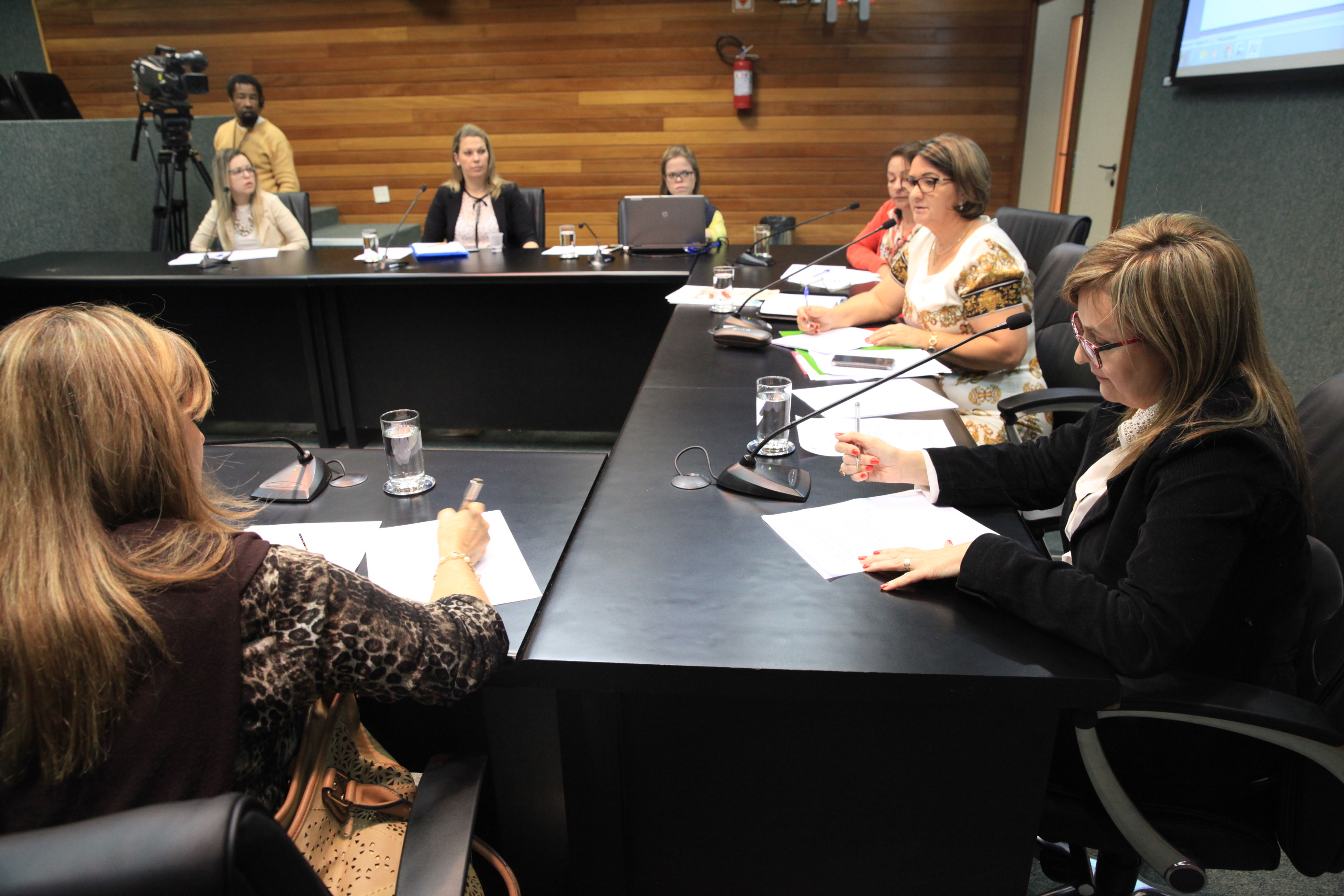 Comissão de Defesa dos Direitos da Pessoa com Deficiência